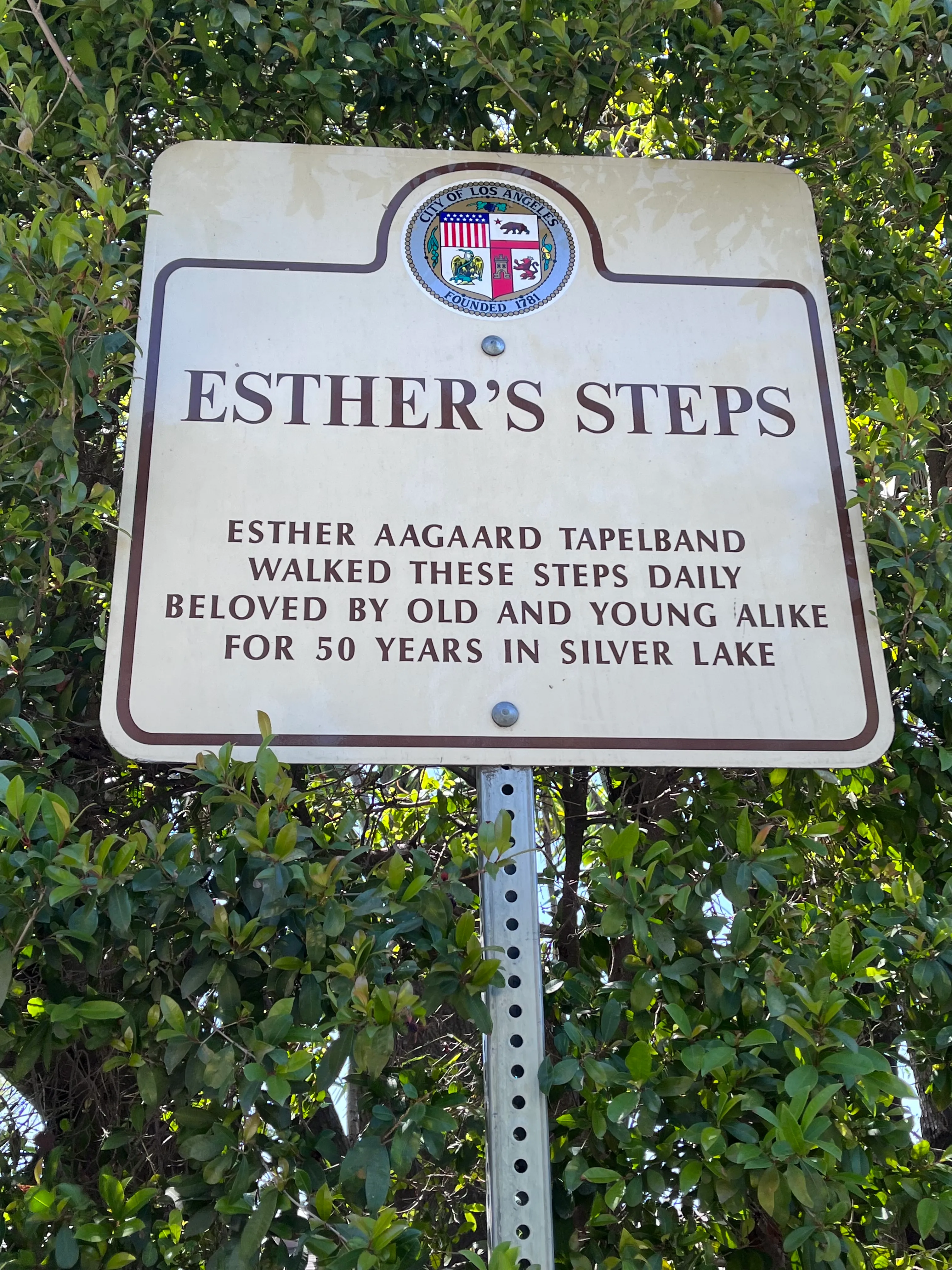 Landa St Stairs (Esther's Steps)