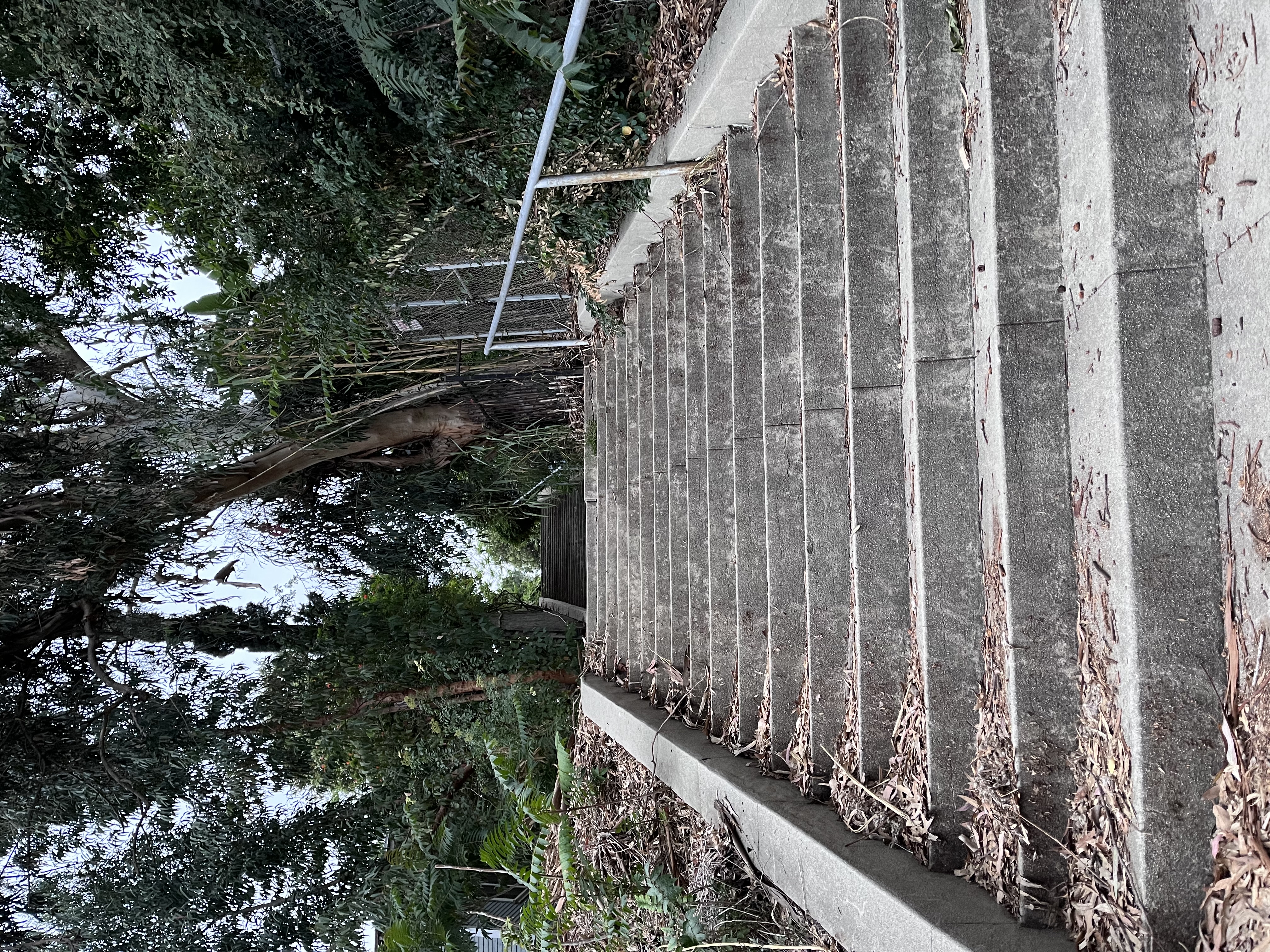 Three Stooges Stairs