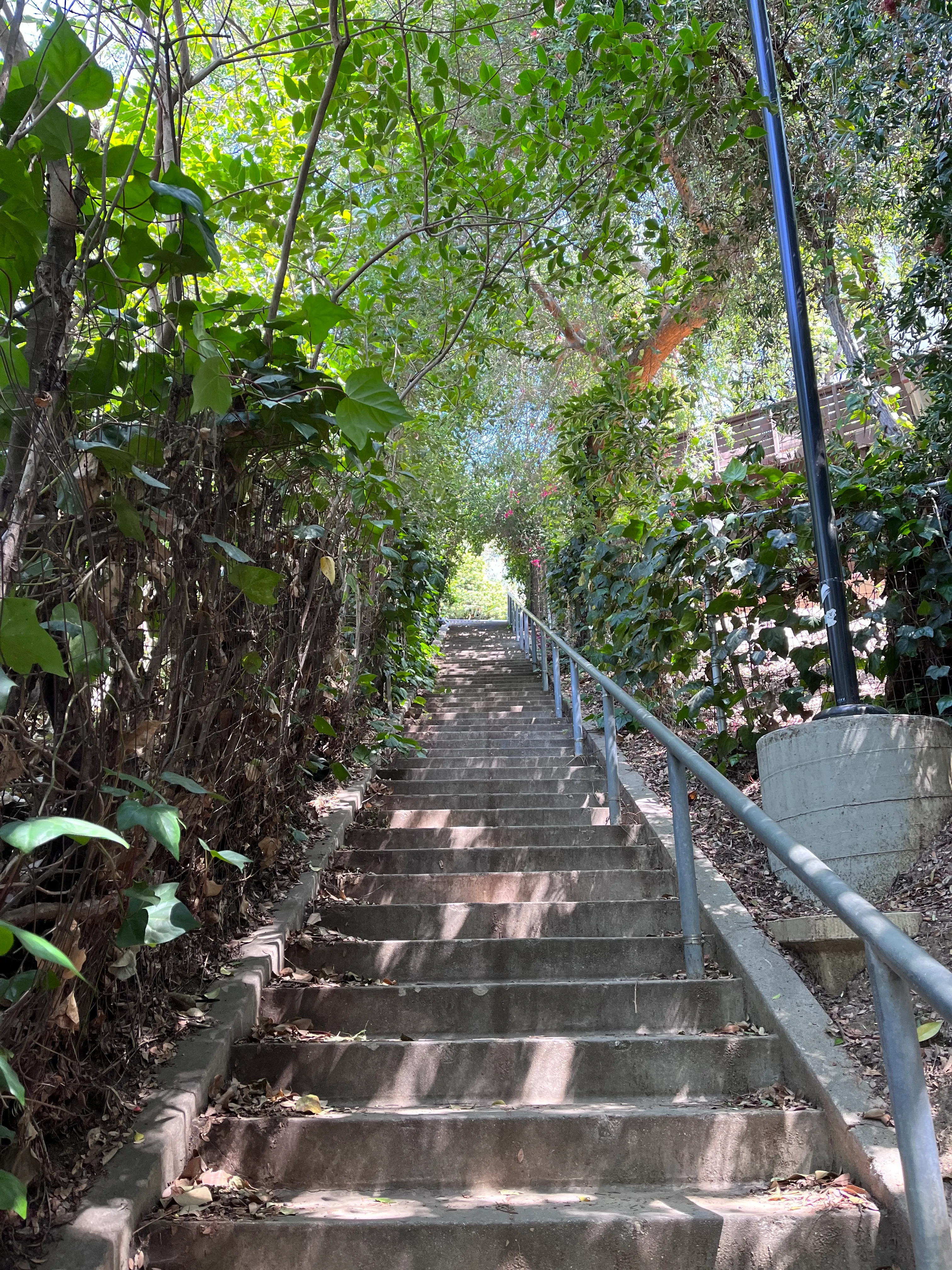 Landa St Stairs (Esther's Steps)