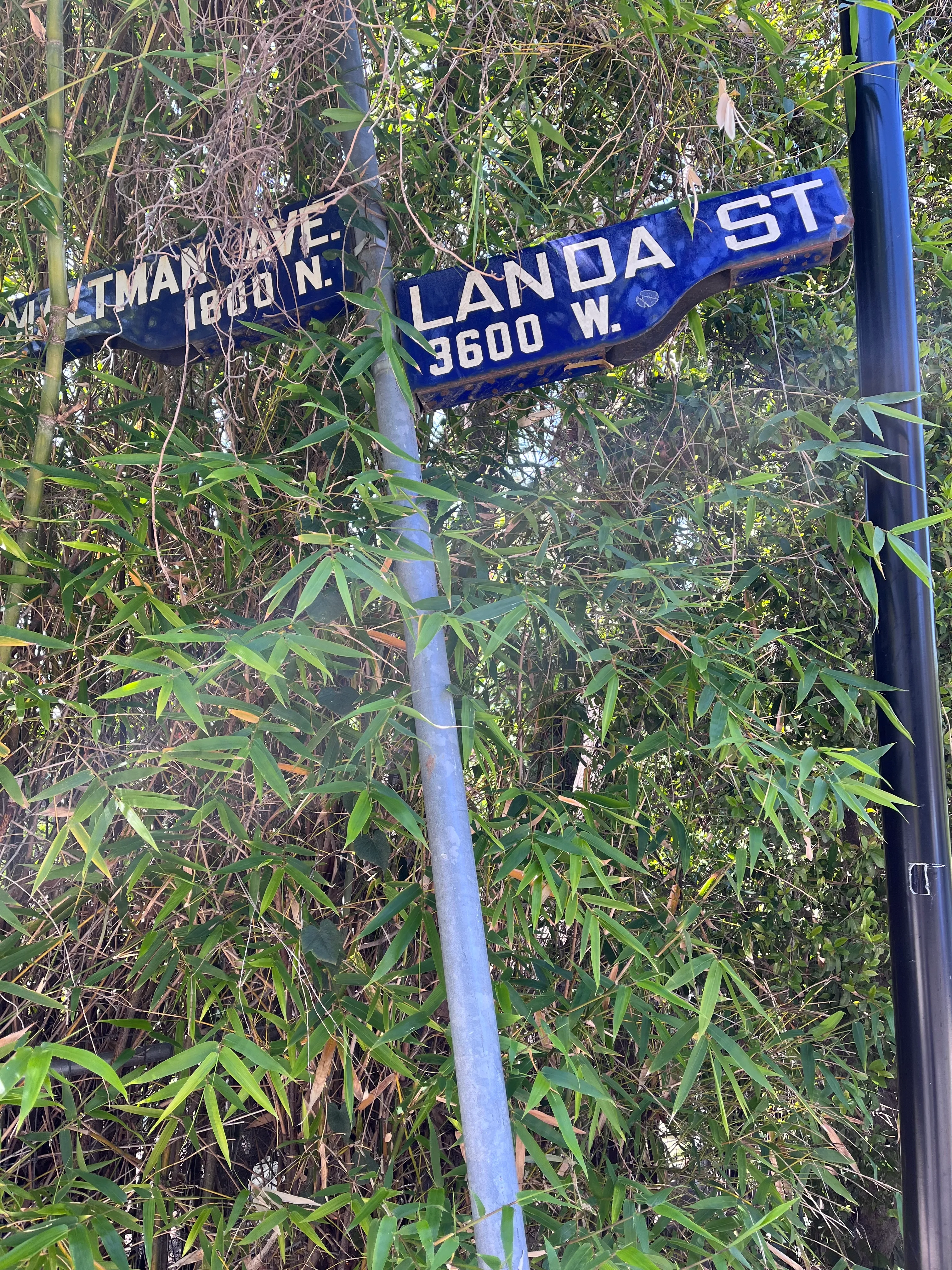 Landa St Stairs (Esther's Steps)