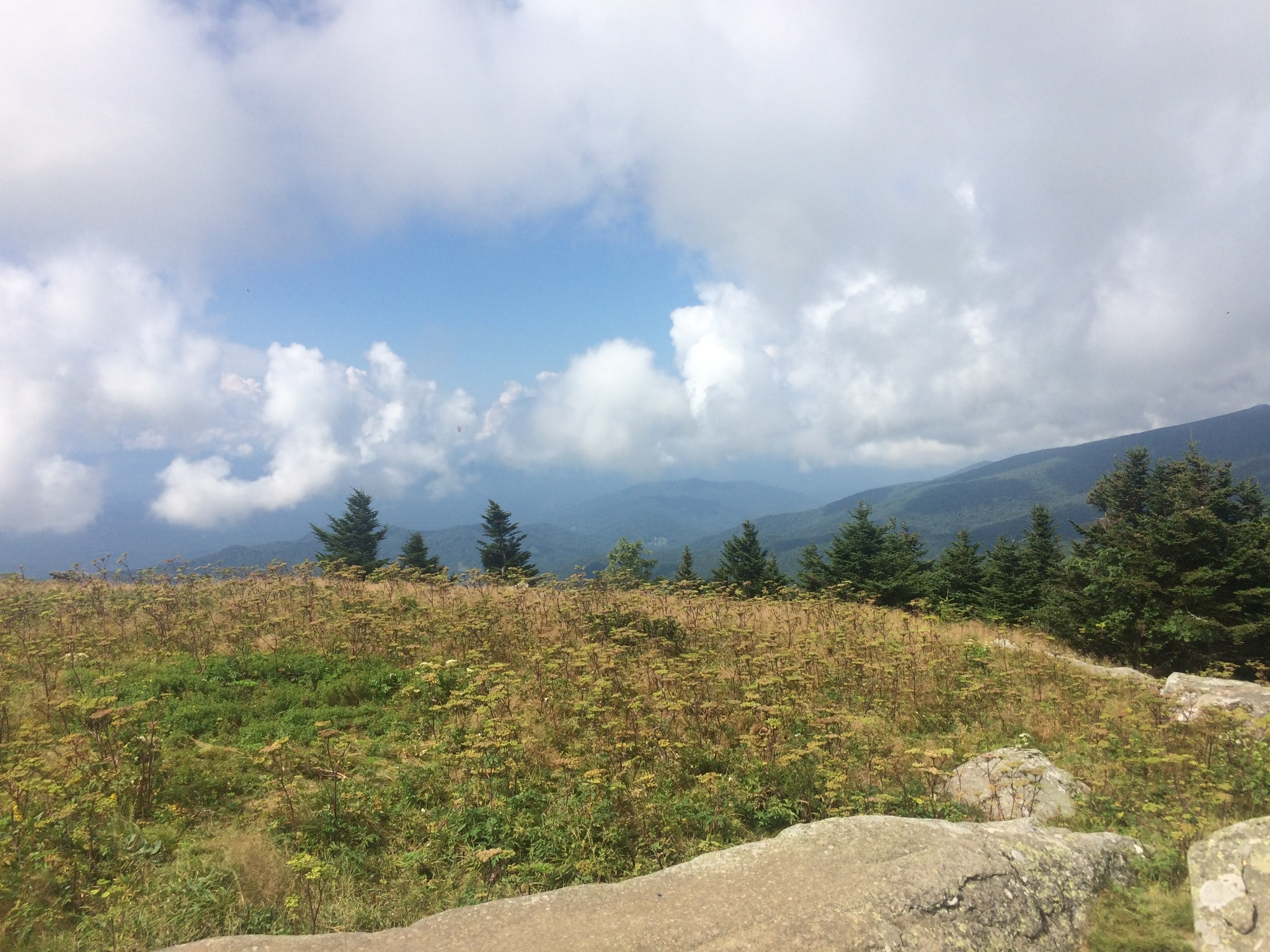 Jane Bald via Appalachian Trail