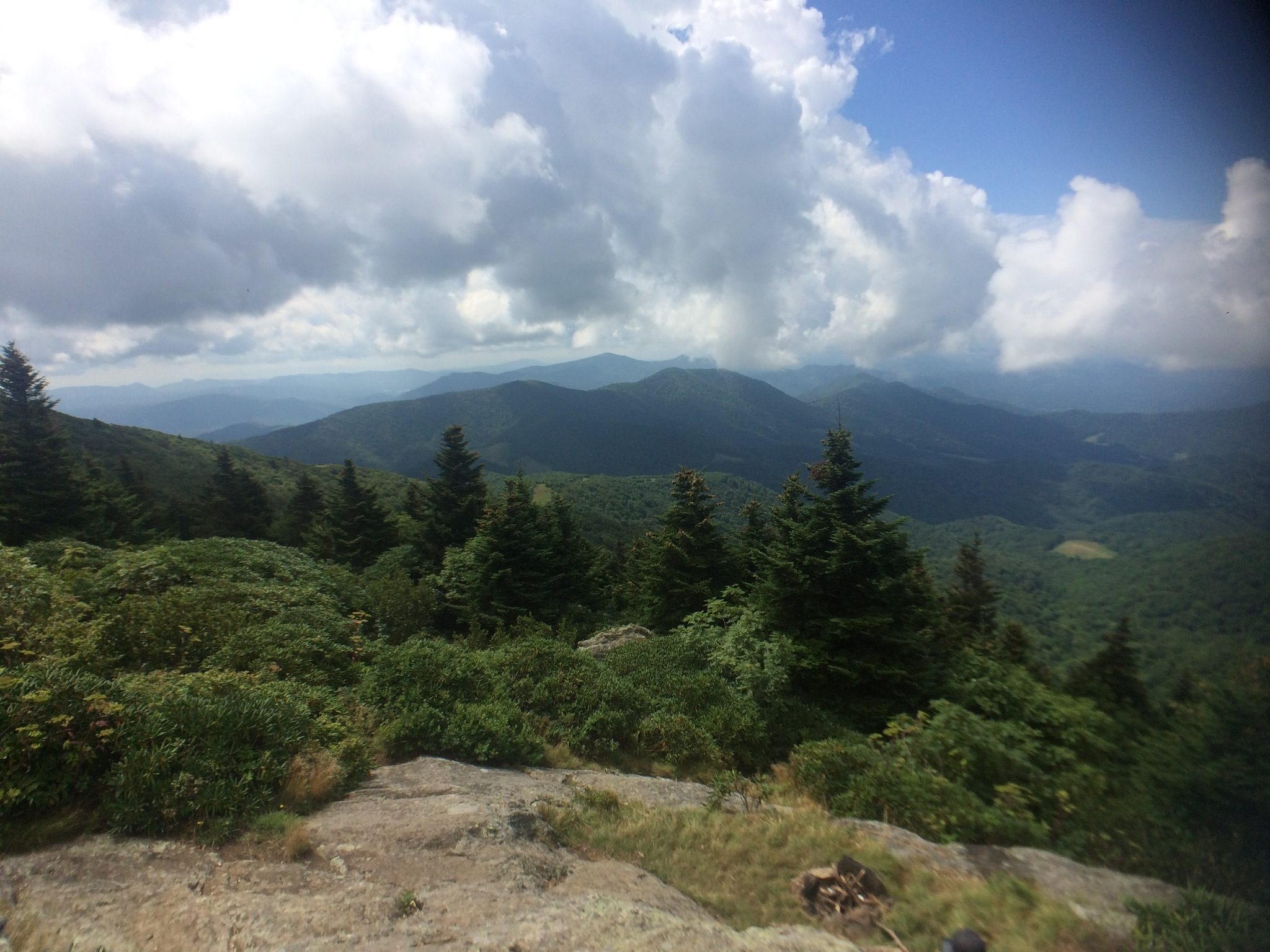 Jane Bald via Appalachian Trail