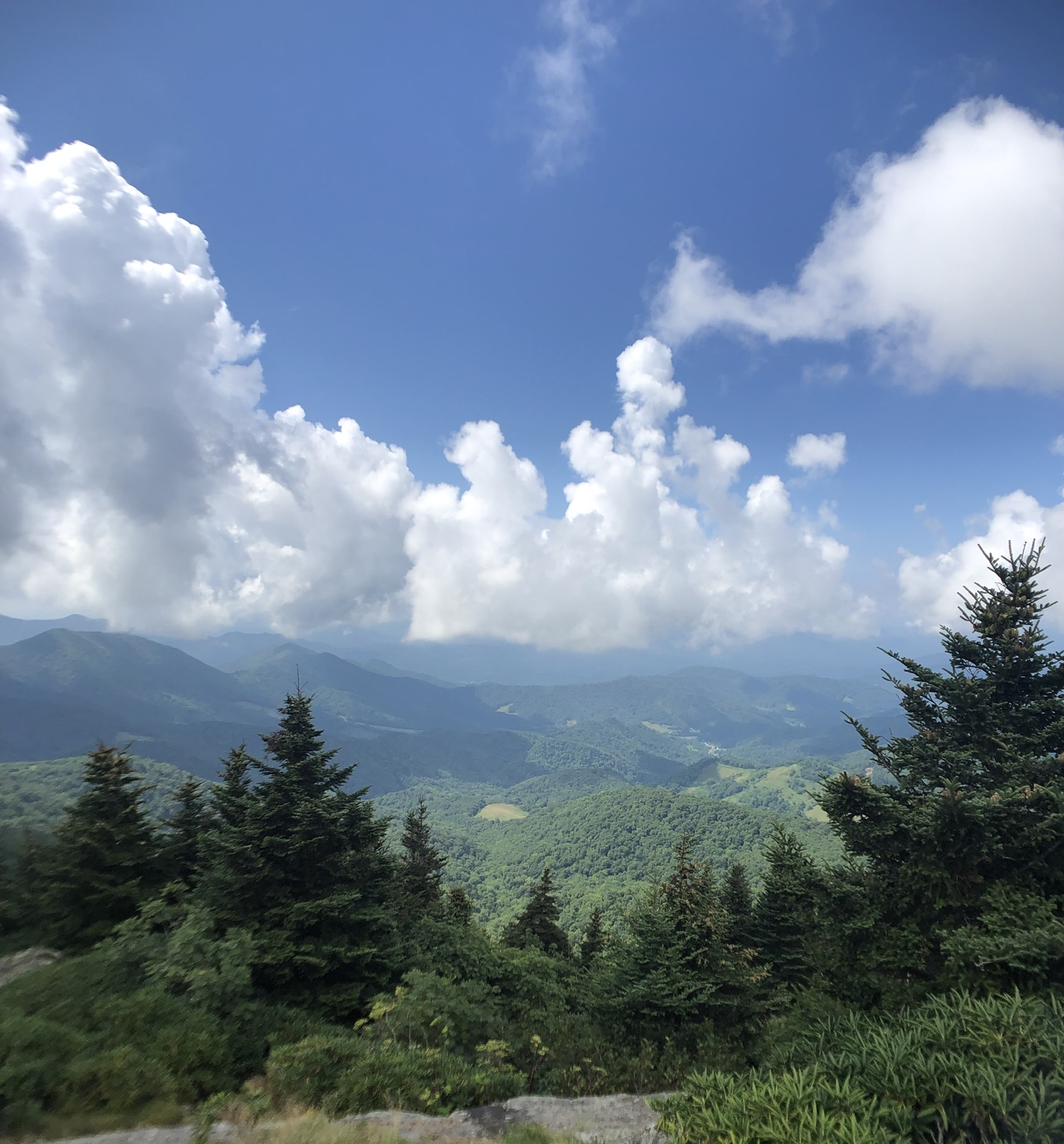 Jane Bald via Appalachian Trail