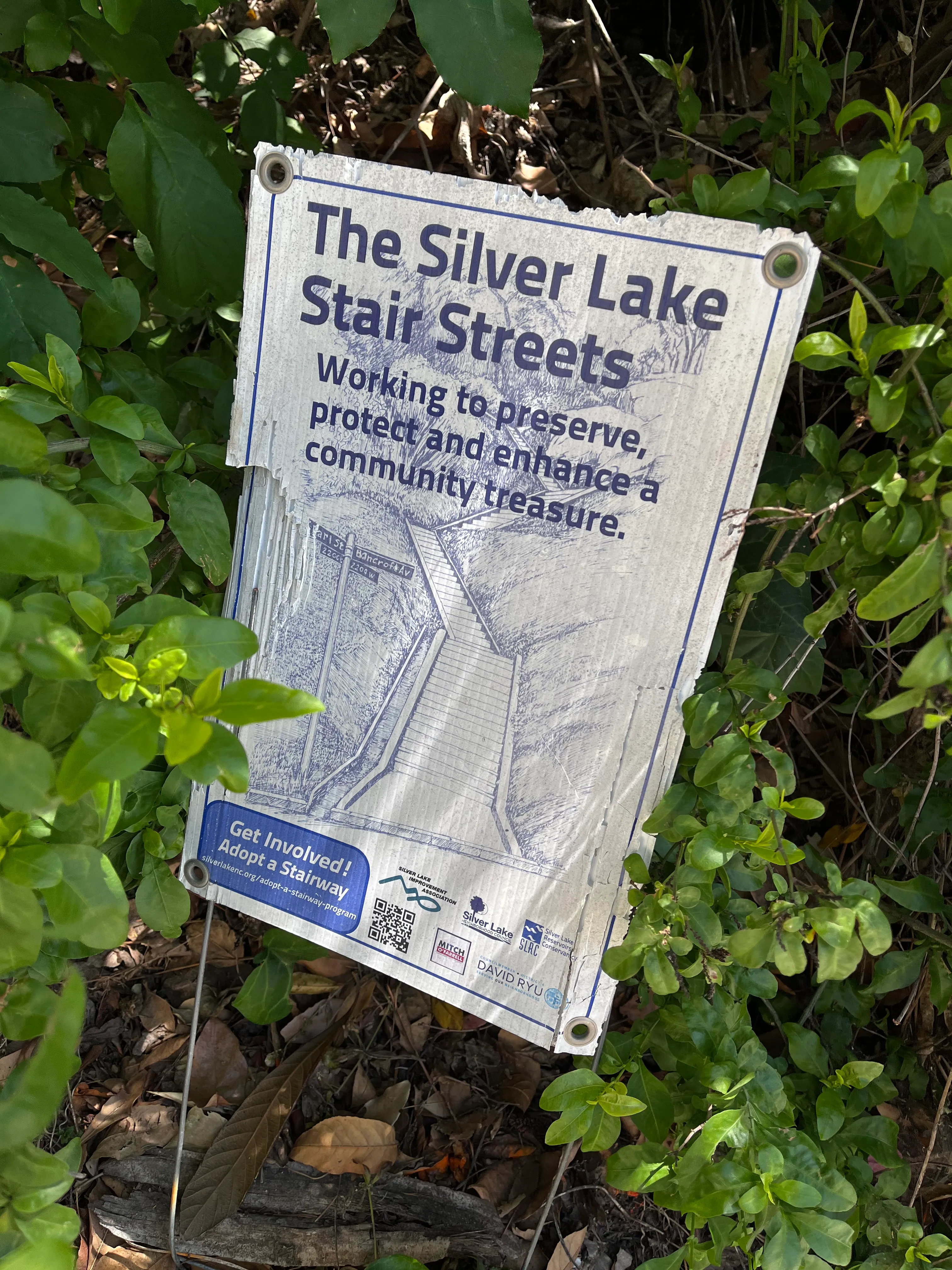 Landa St Stairs (Esther's Steps)