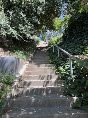 Landa St Stairs (Esther's Steps)