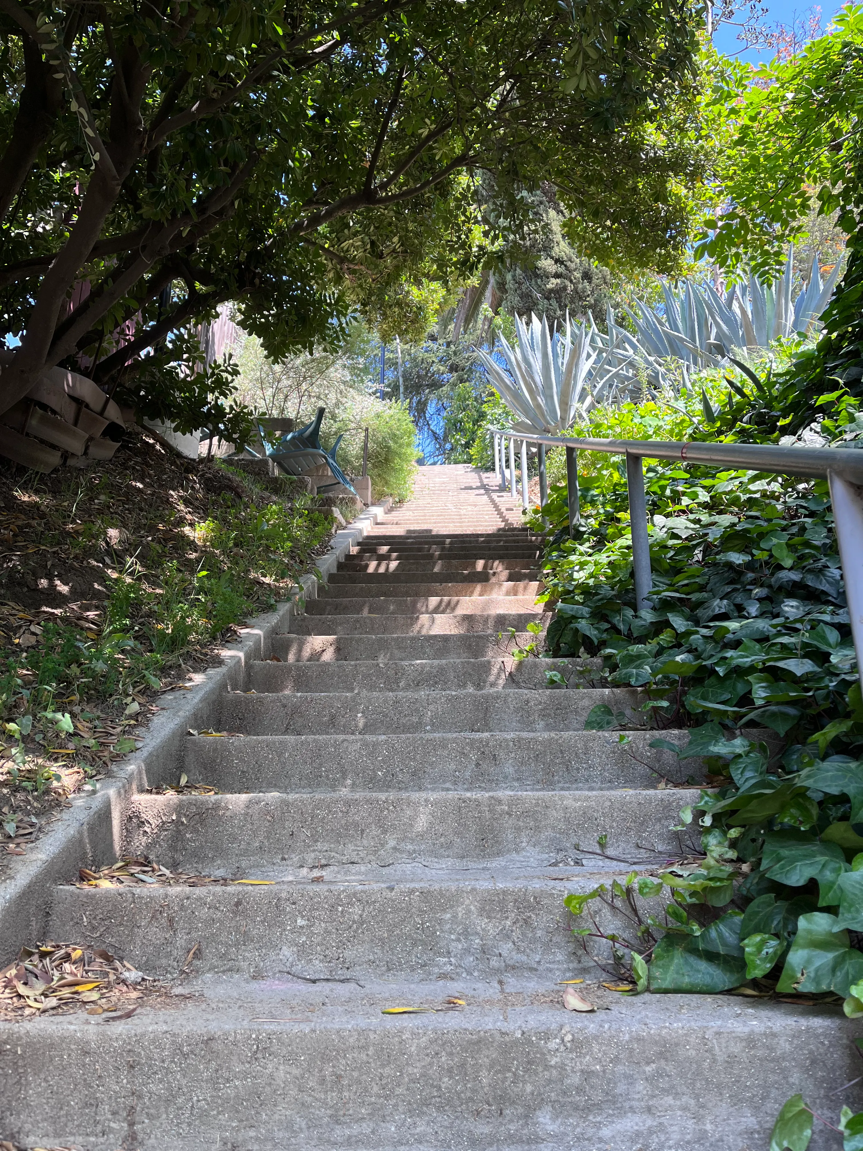 Landa St Stairs (Esther's Steps)