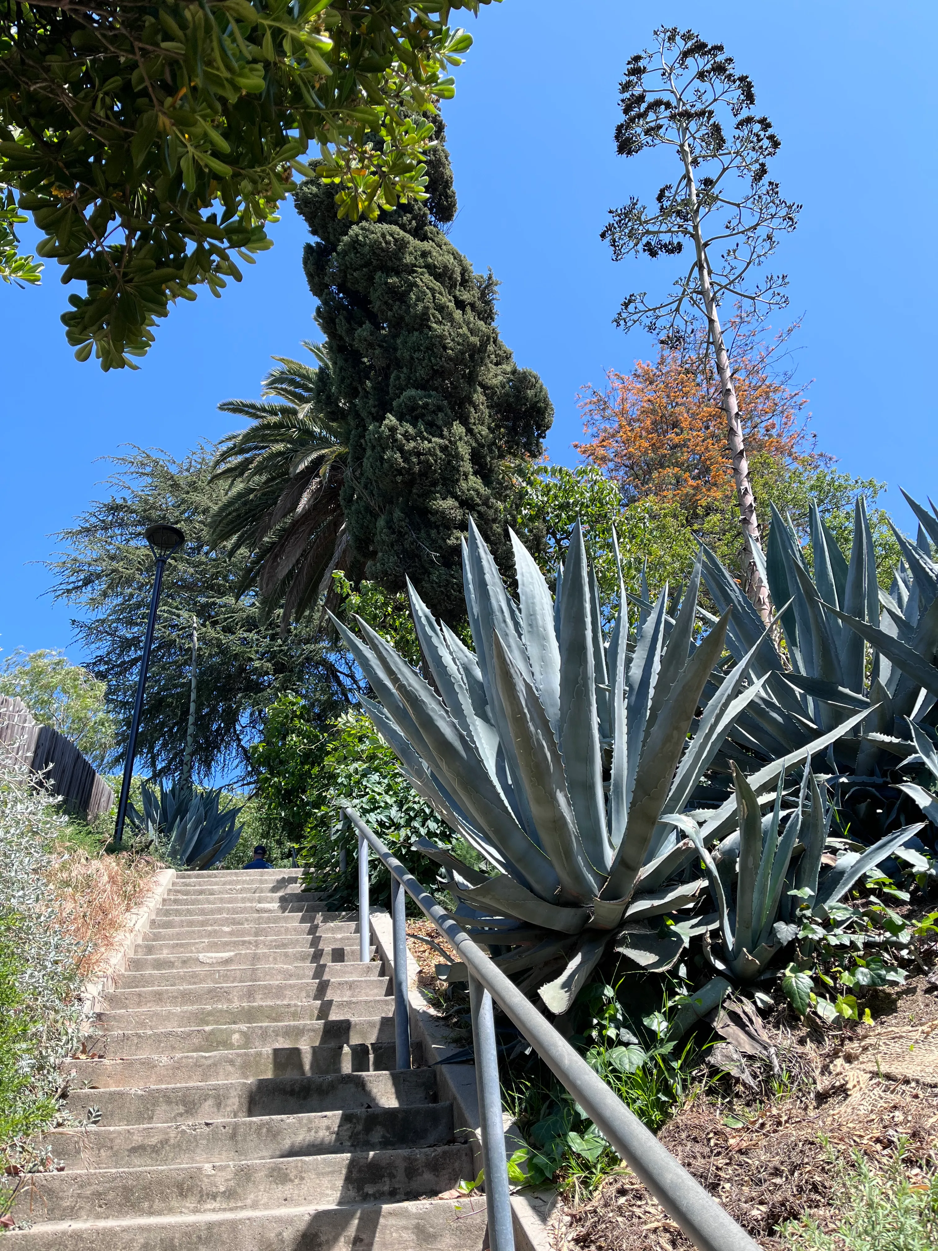 Landa St Stairs (Esther's Steps)