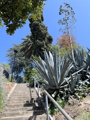 Landa St Stairs (Esther's Steps)