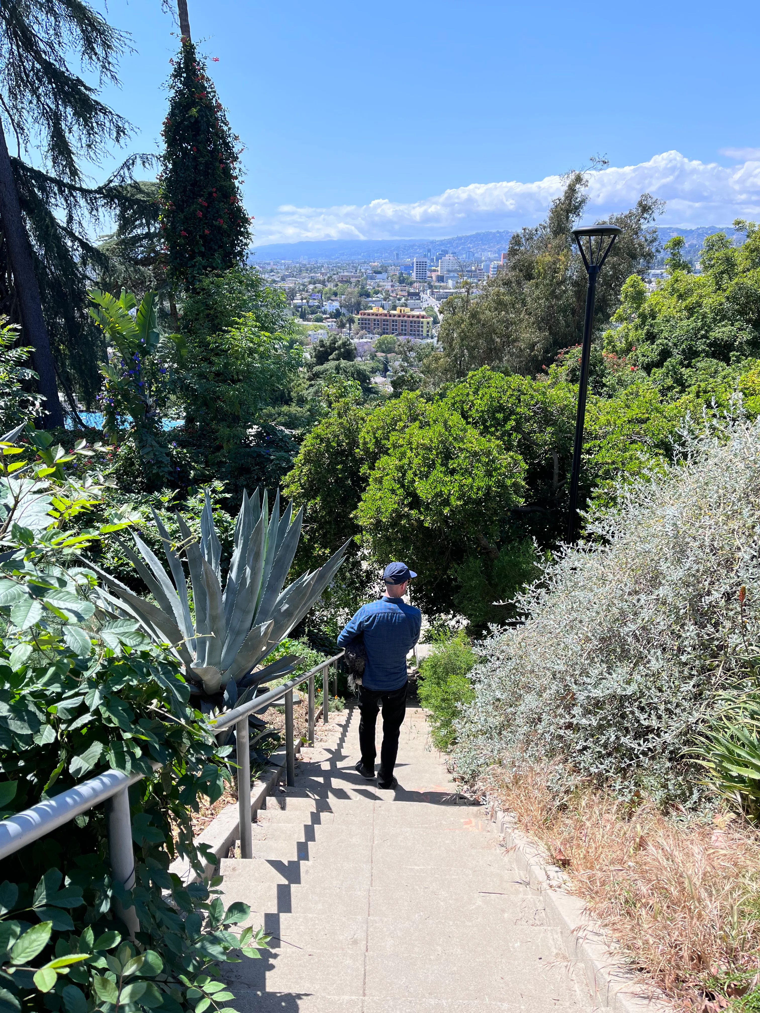 Landa St Stairs (Esther's Steps)