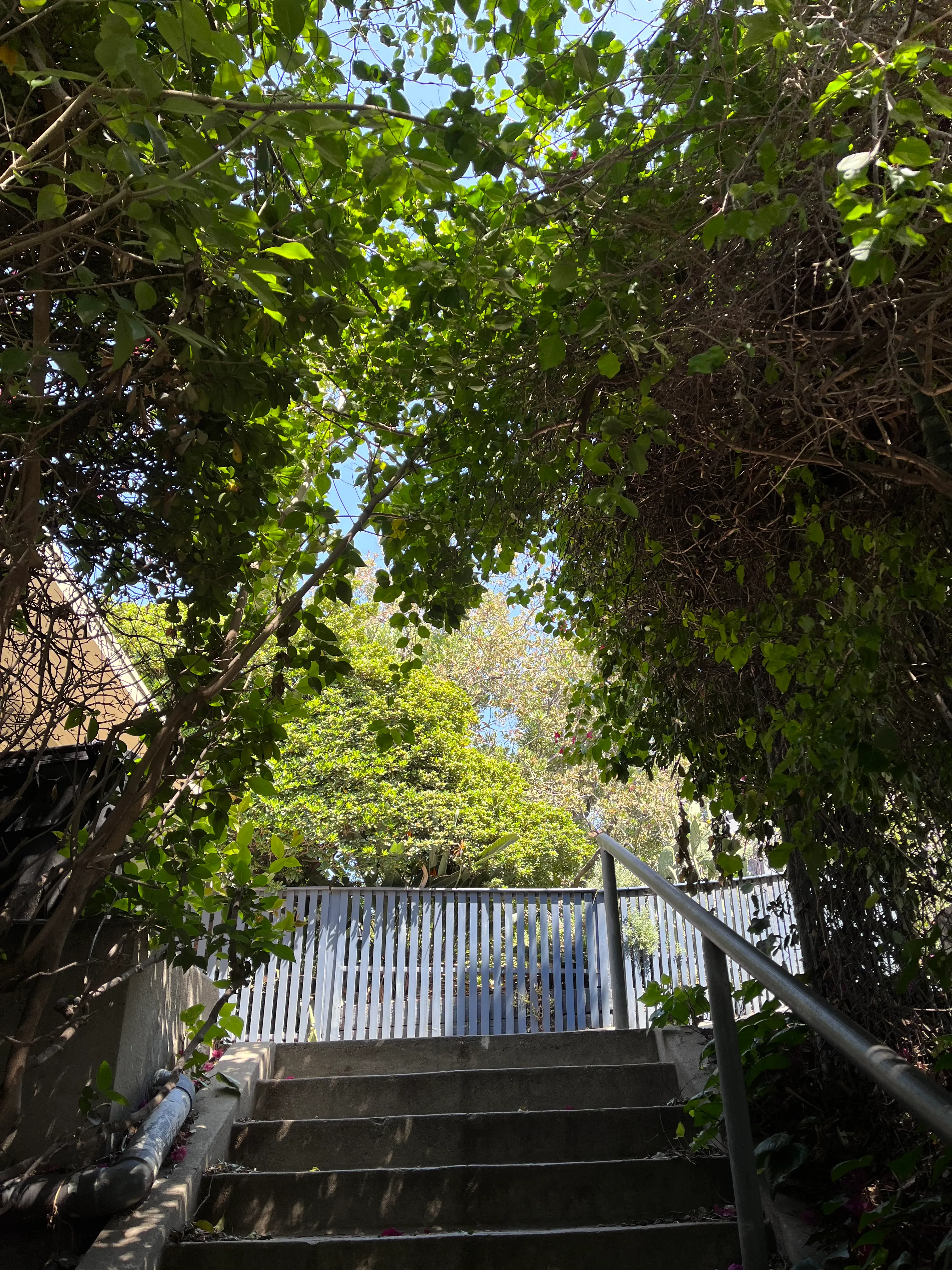 Landa St Stairs (Esther's Steps)