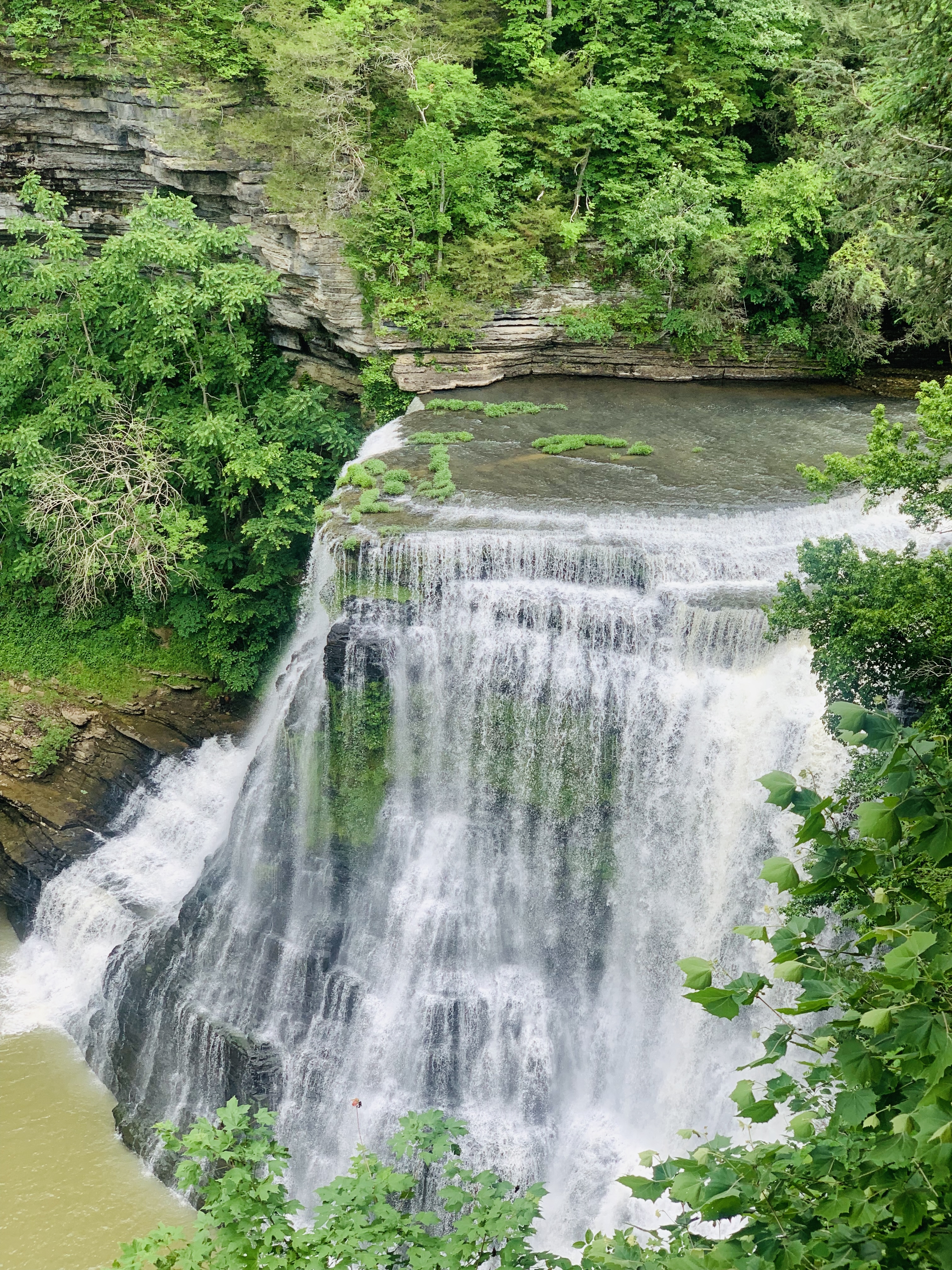 Burgess Falls