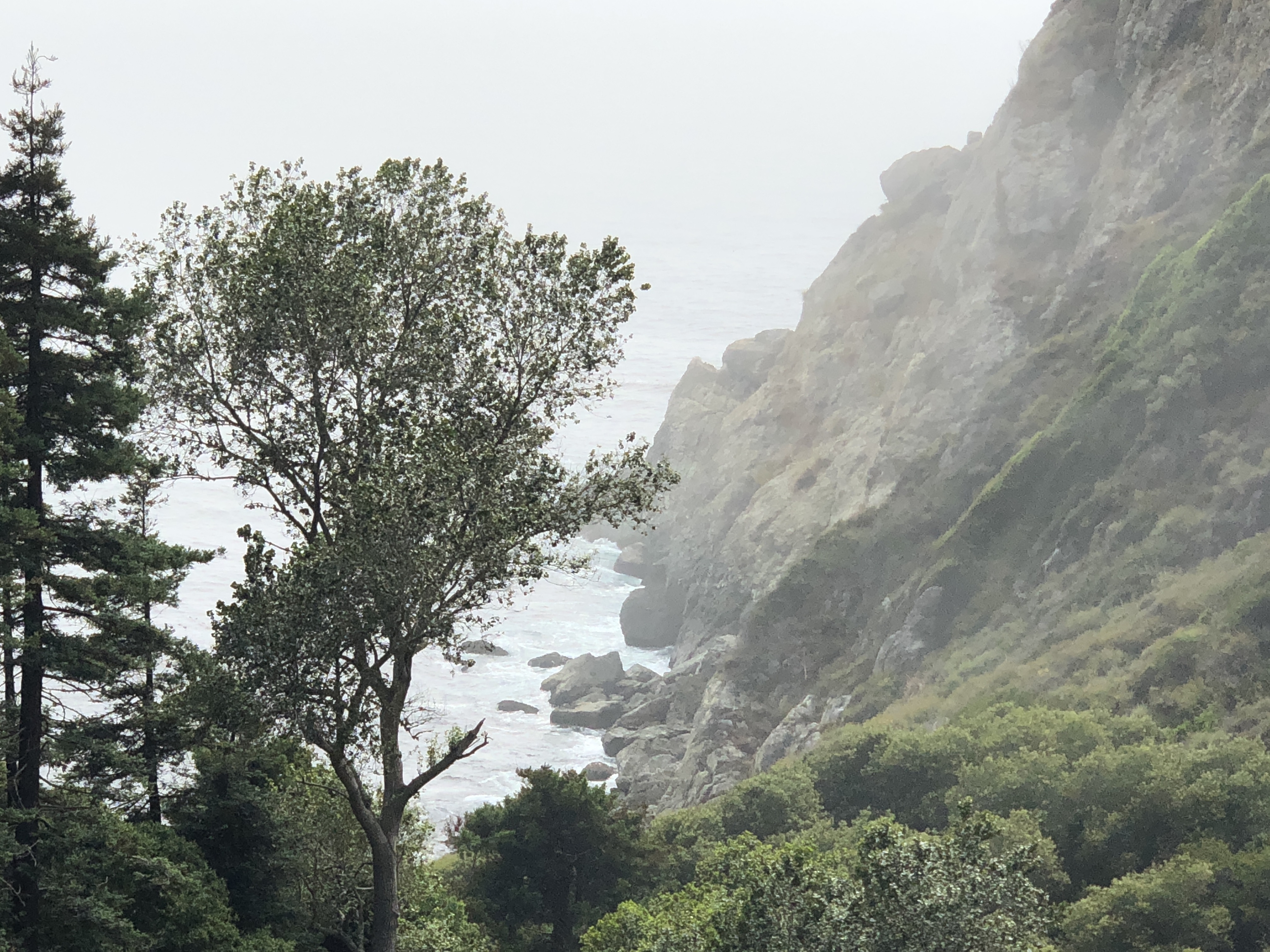 Partington Cove Trail