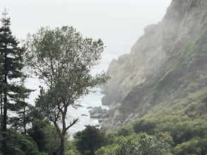 Partington Cove Trail
