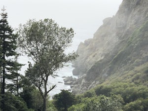 Partington Cove Trail