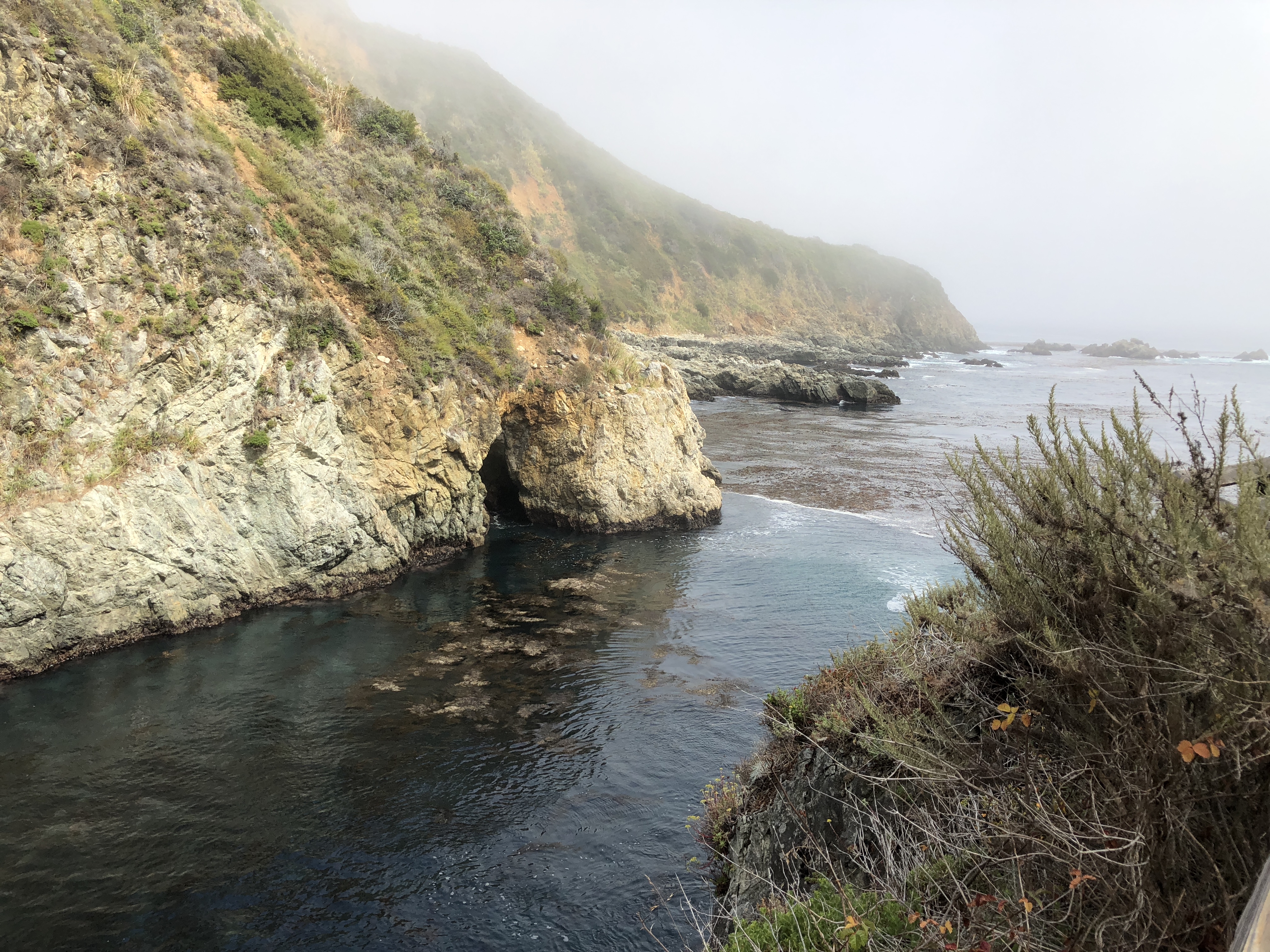 Partington Cove Trail