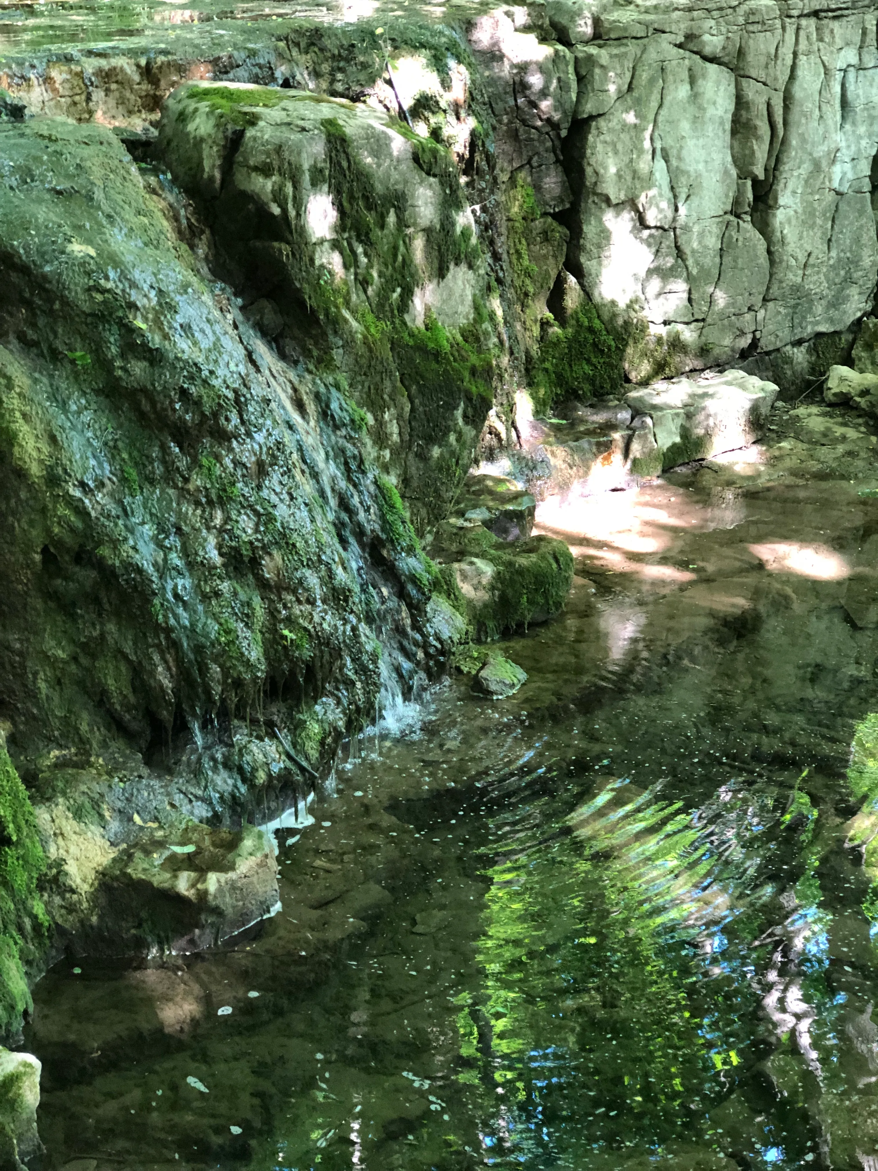 Three Falls Woods