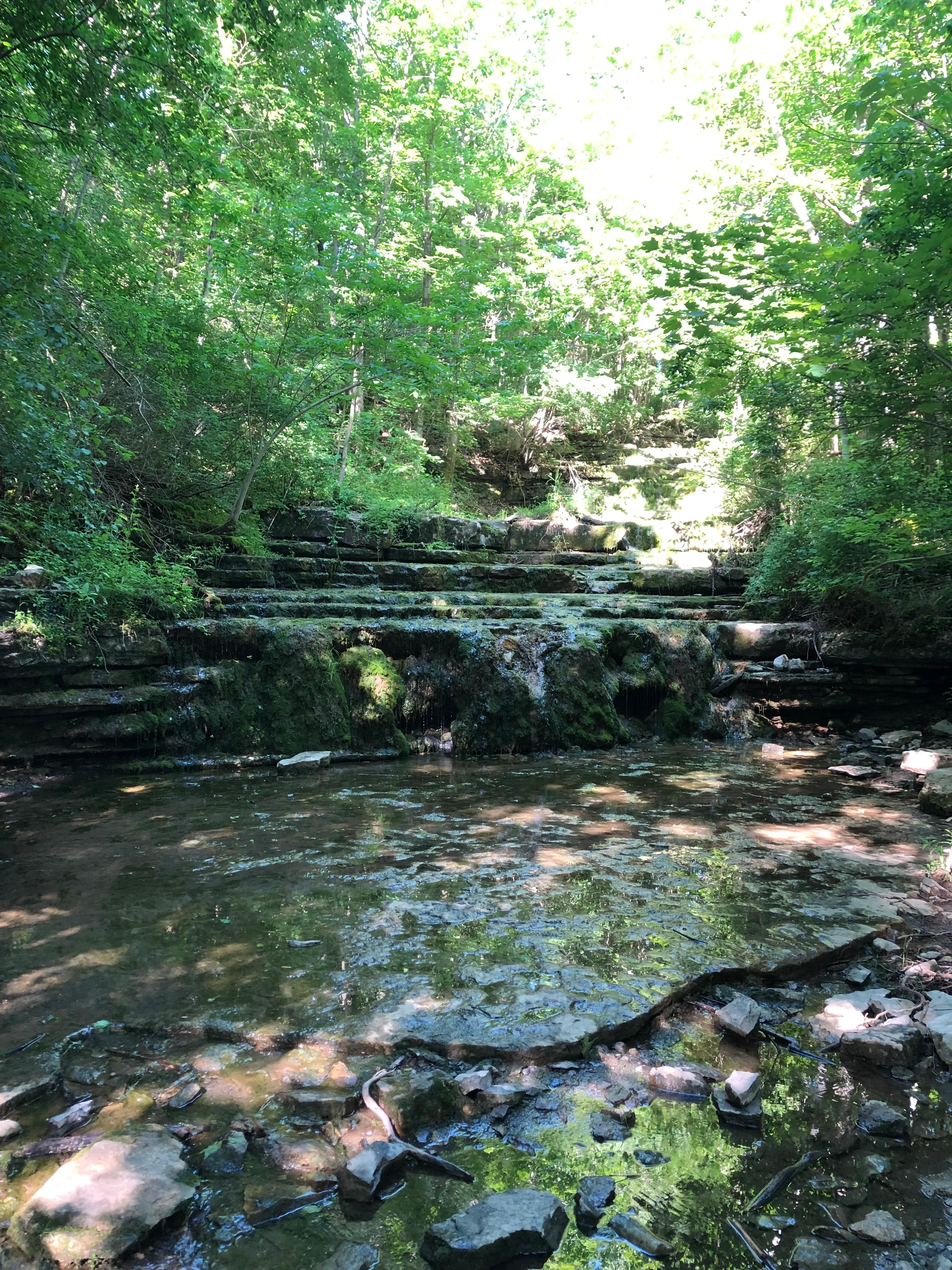 Three Falls Woods