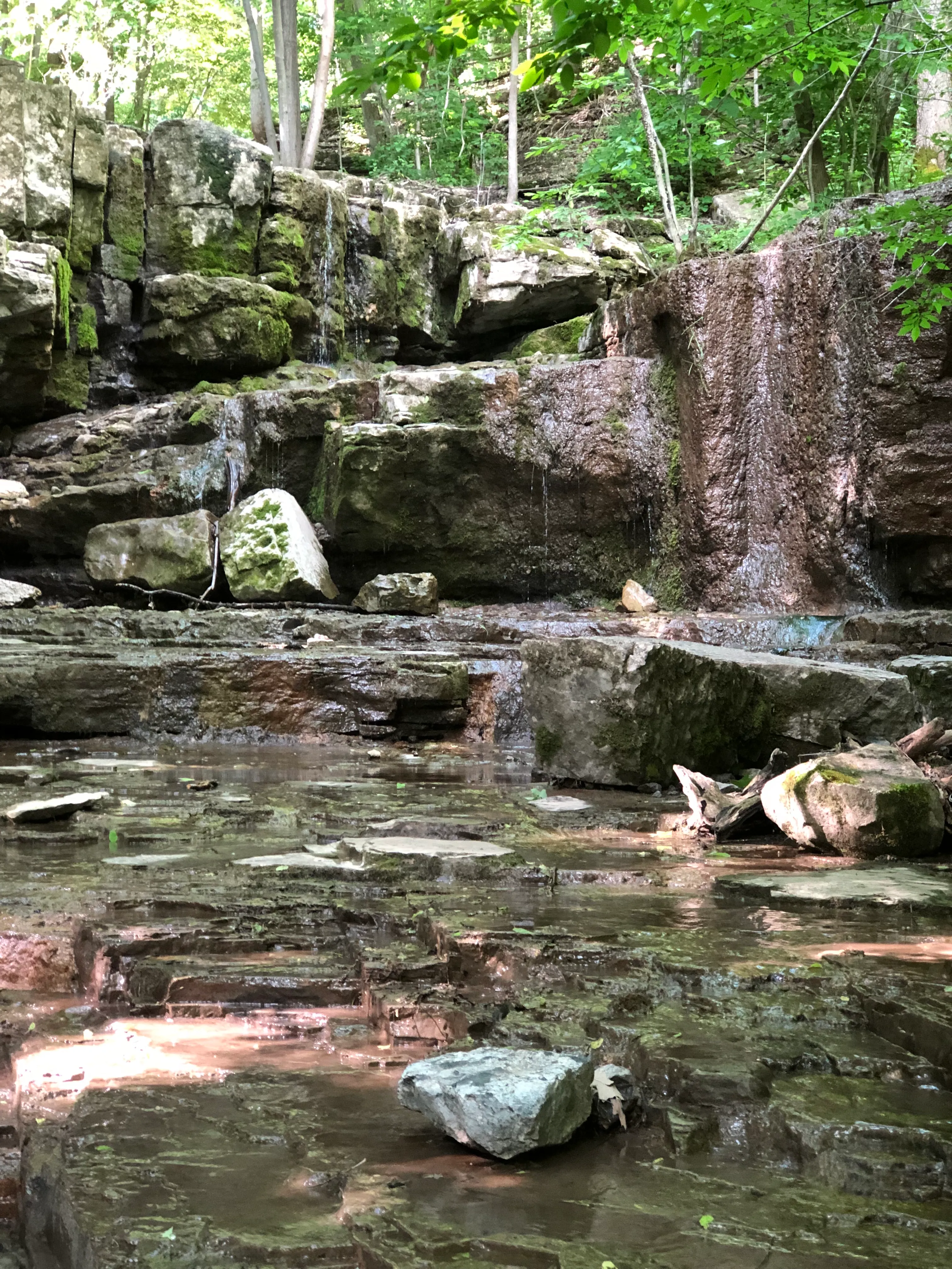 Three Falls Woods