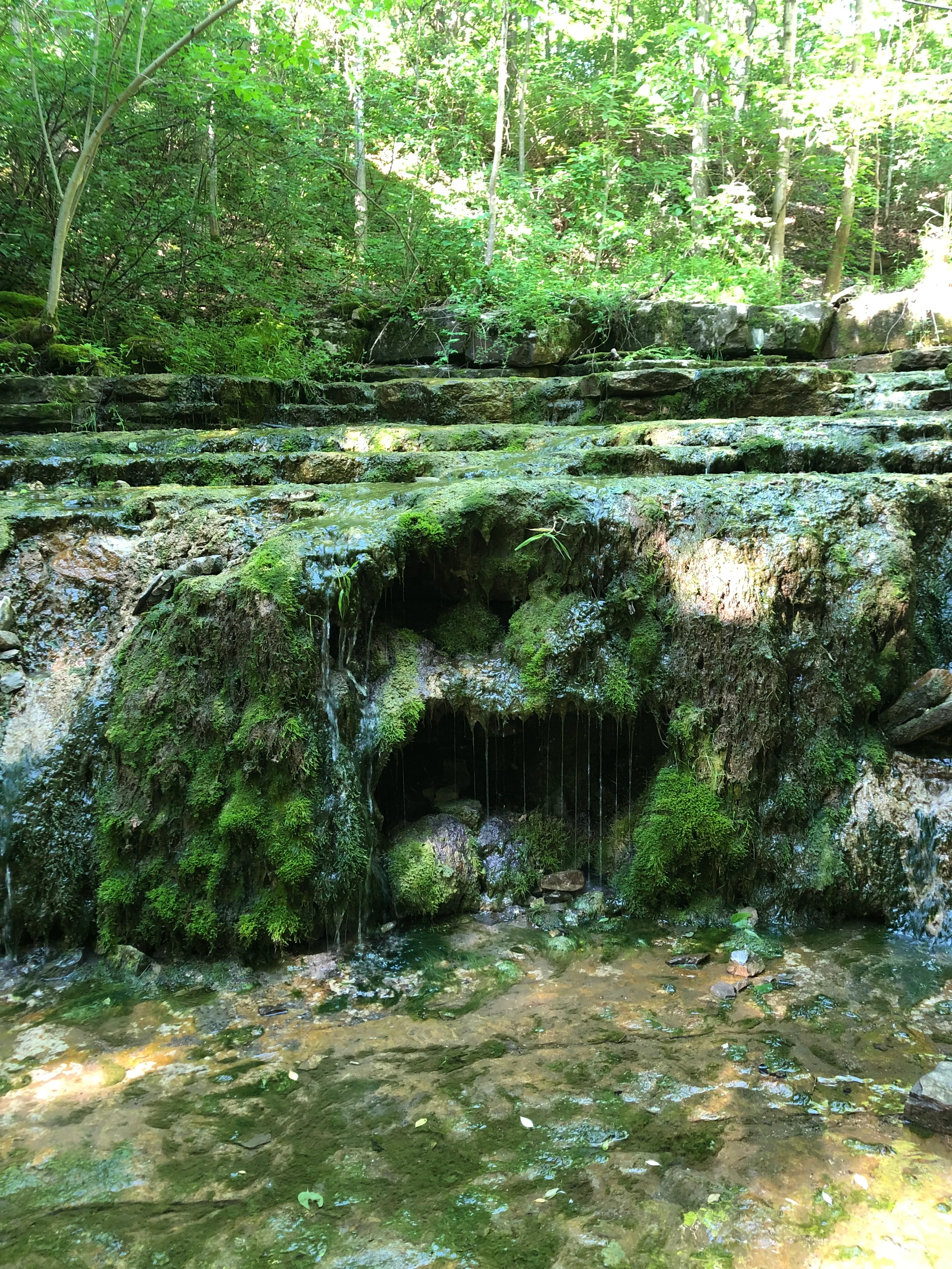 Three Falls Woods