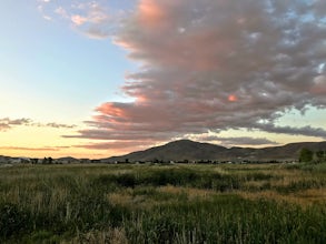 Damonte Ranch Park Wetlands Loop