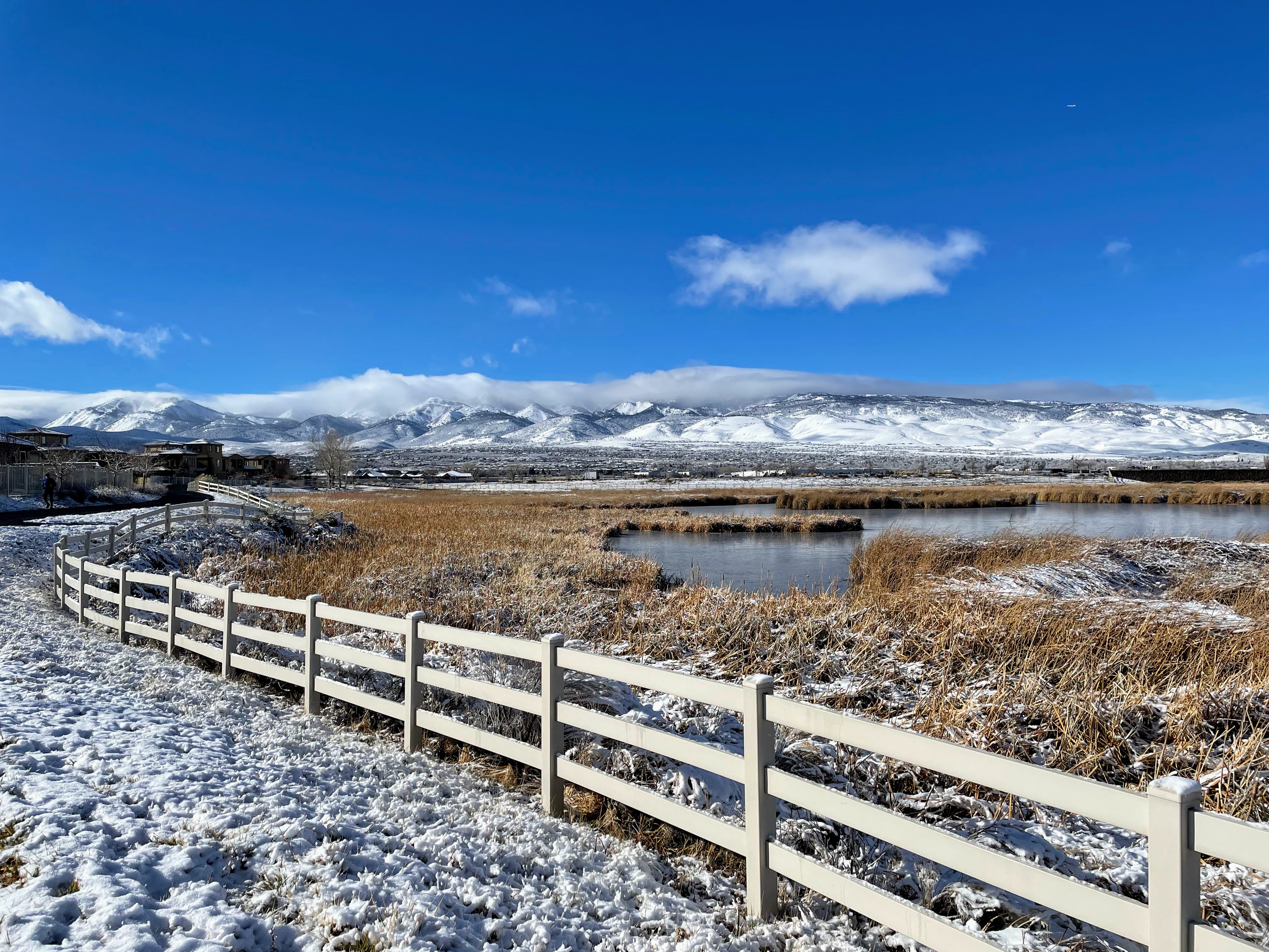Damonte Ranch Park Wetlands Loop