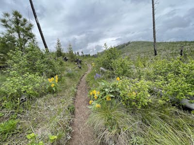 Blue Mountain Lookout Deadman Ridge Trail