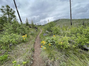 Blue Mountain Lookout Deadman Ridge Trail