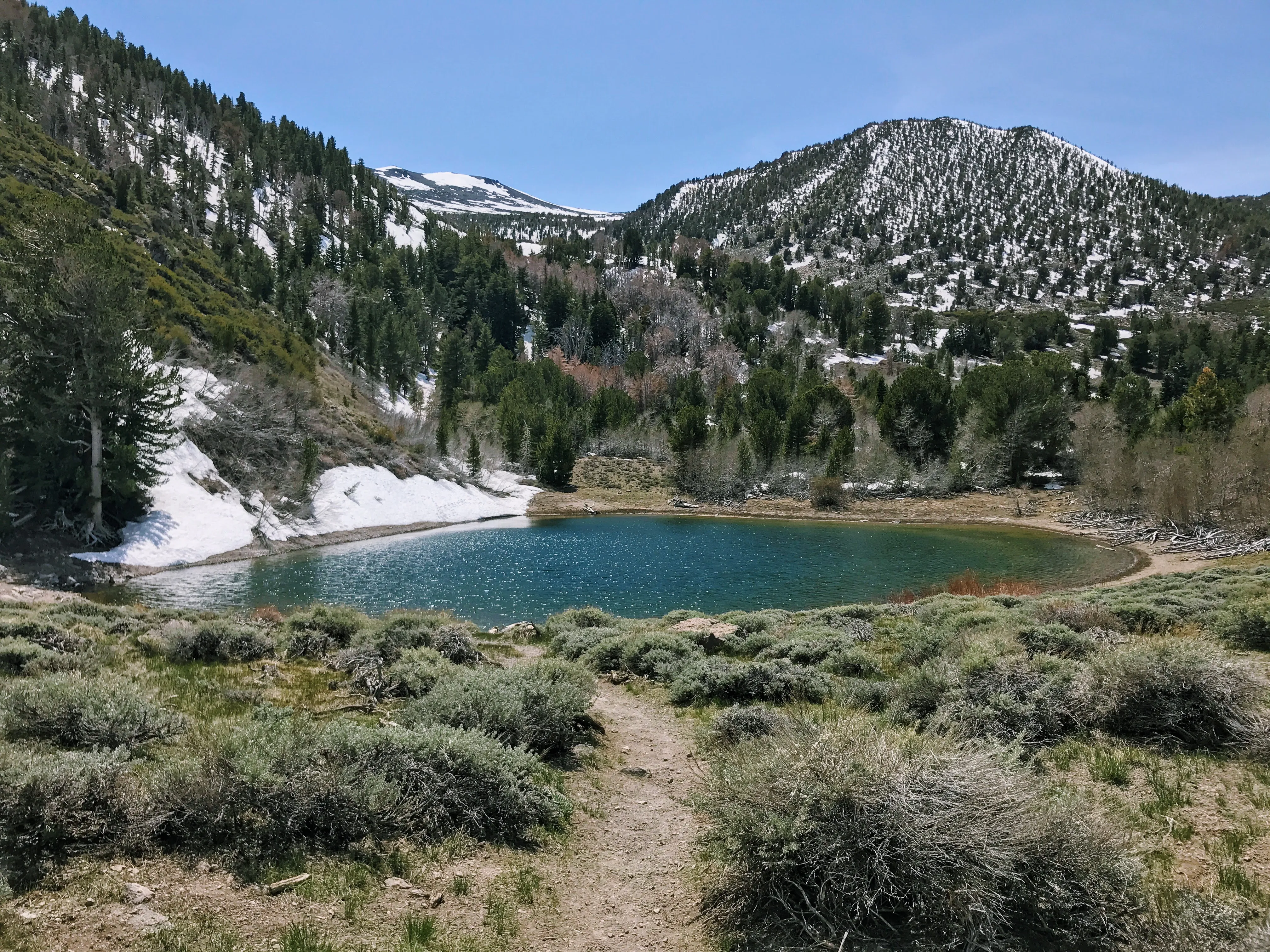 Photos: Church's Pond via the Jones-Whites Creek Trail, Reno, Nevada