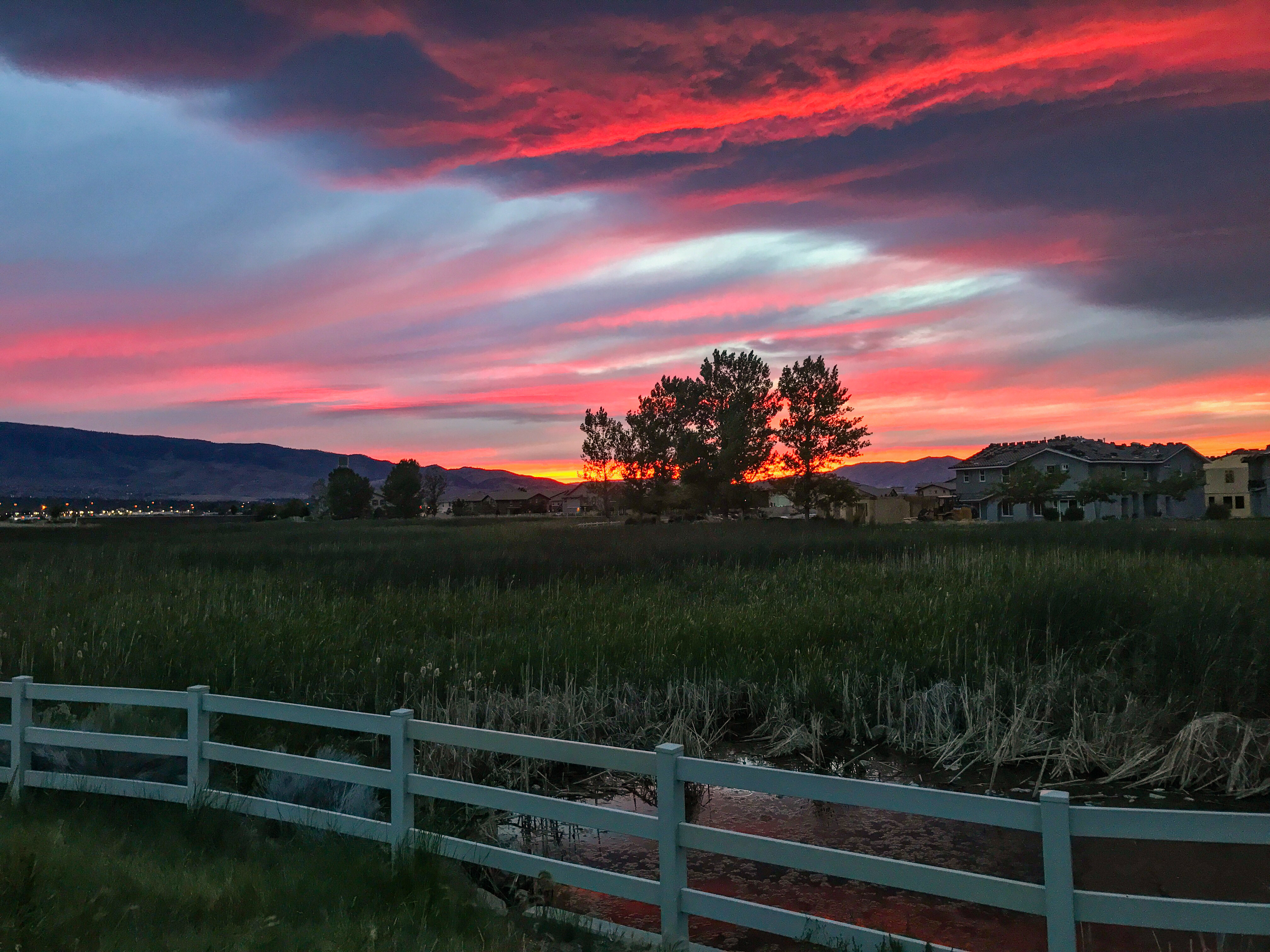 Damonte Ranch Wetland Loop