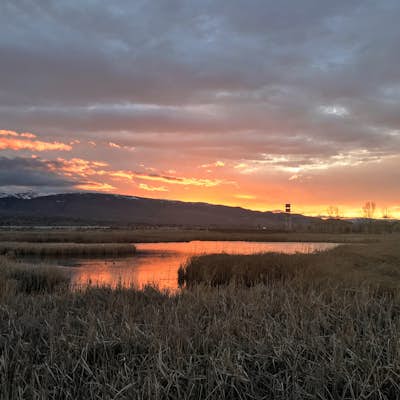 Damonte Ranch Wetland Loop