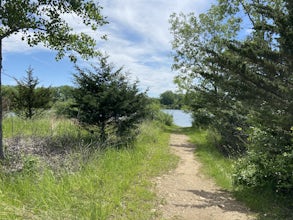 The Hollows Trail