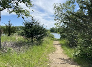 The Hollows Trail