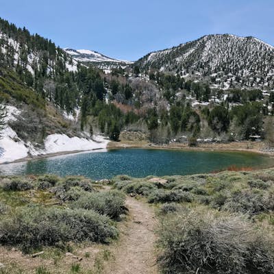 Hike the Spooner Lake Loop
