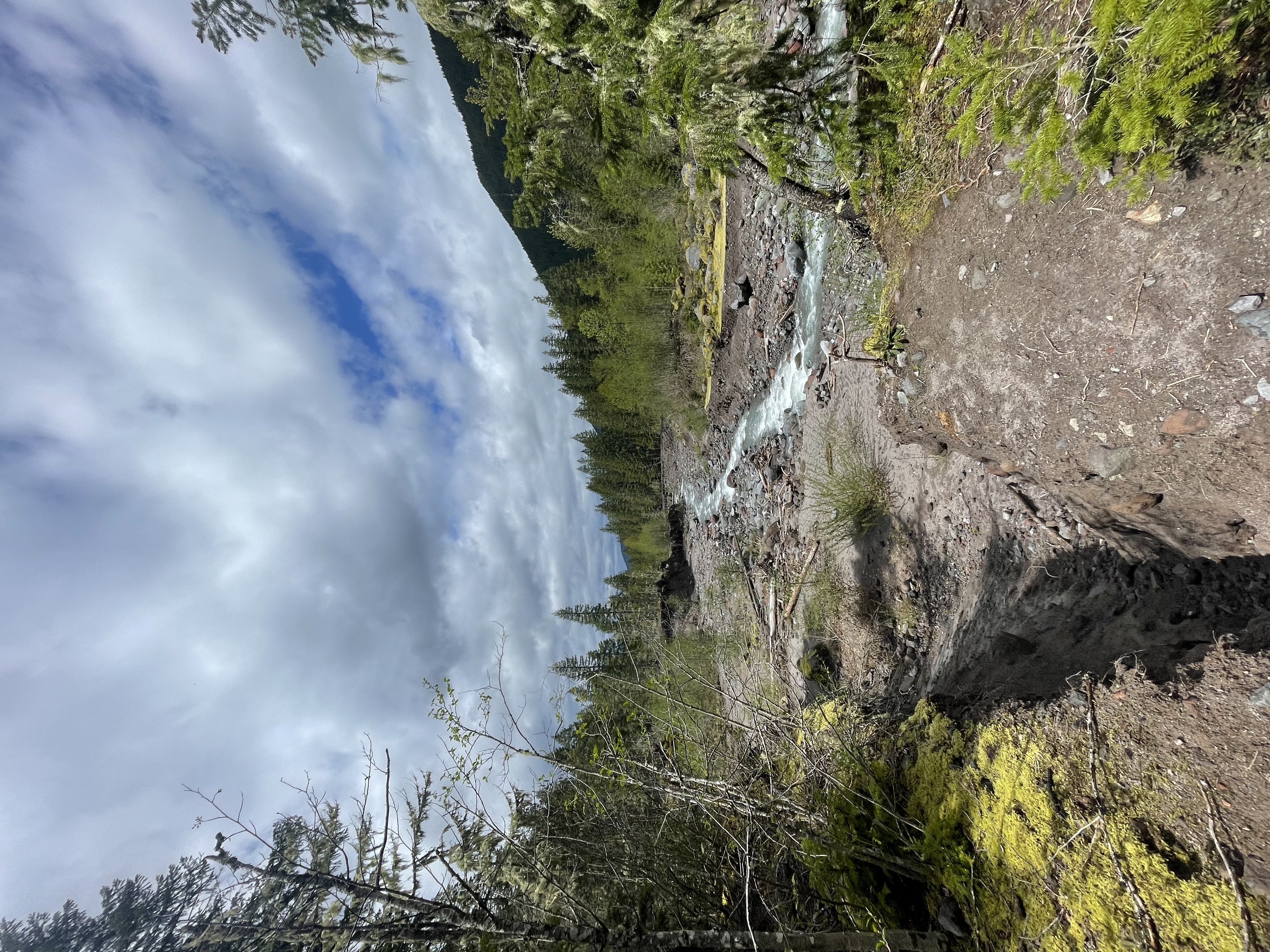 Ramona Falls Loop