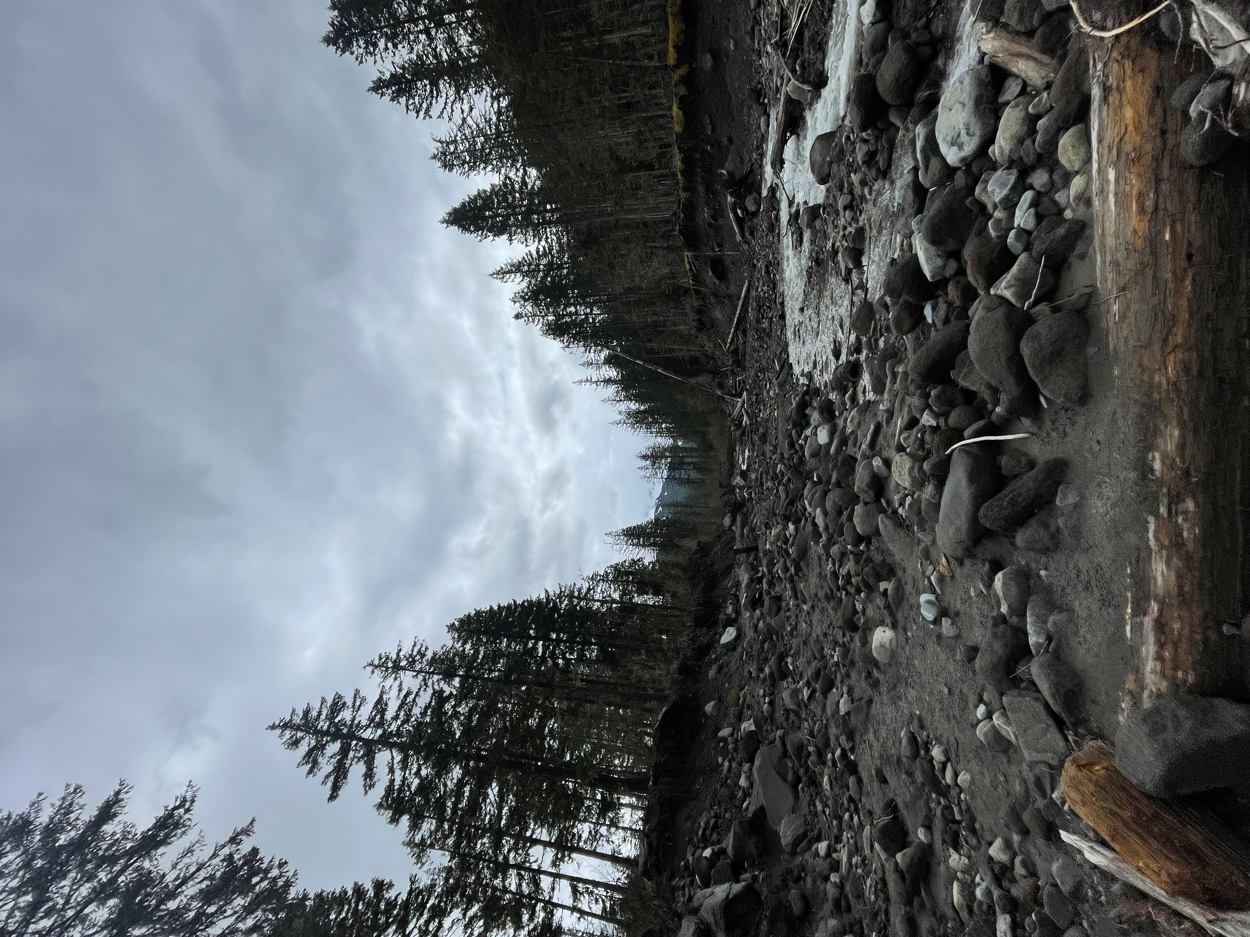 Ramona Falls Loop