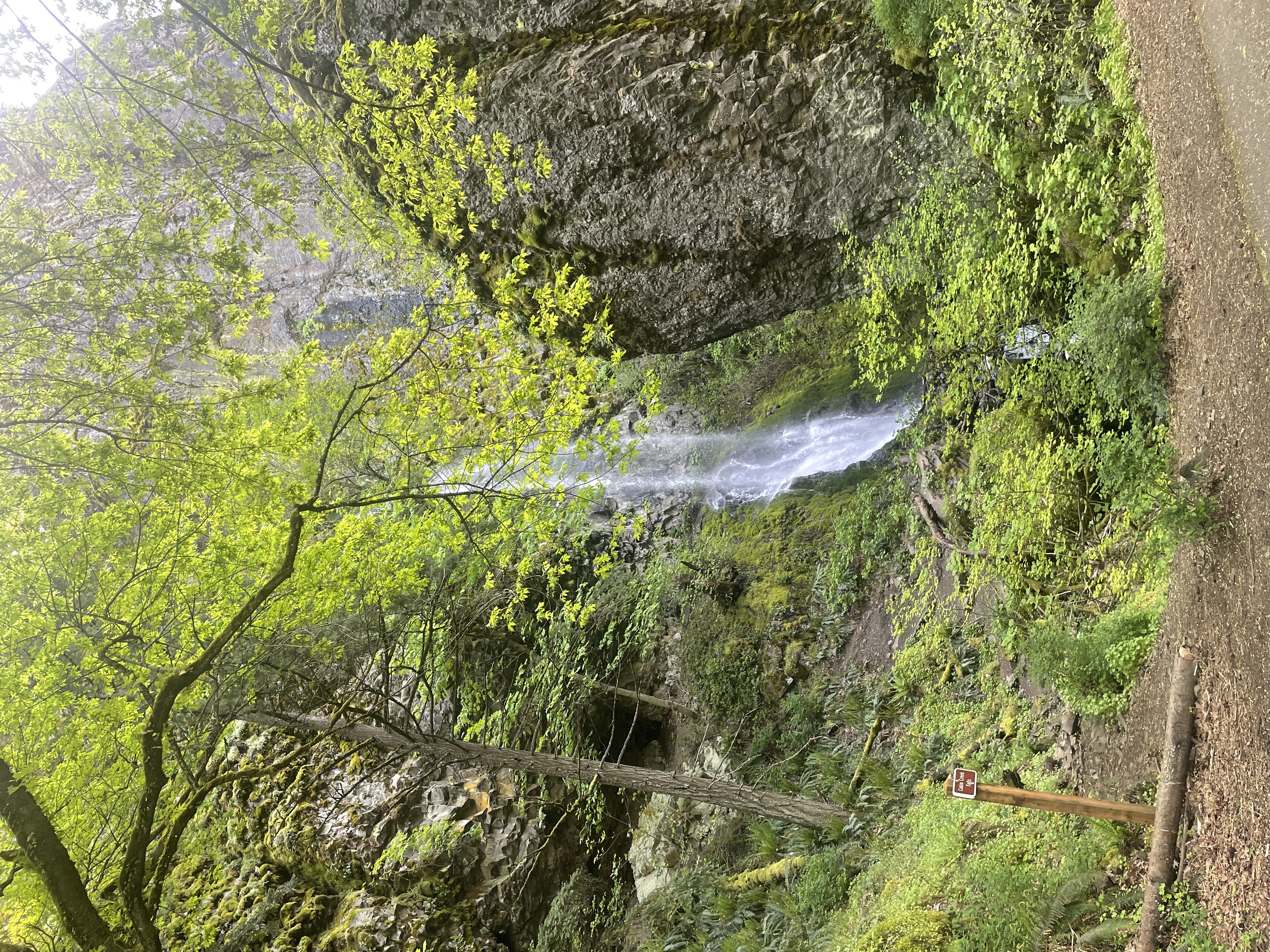 Starvation Creek Falls 