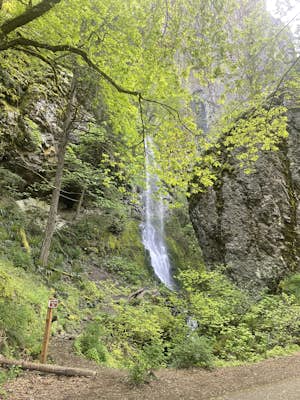 Starvation Creek Falls 