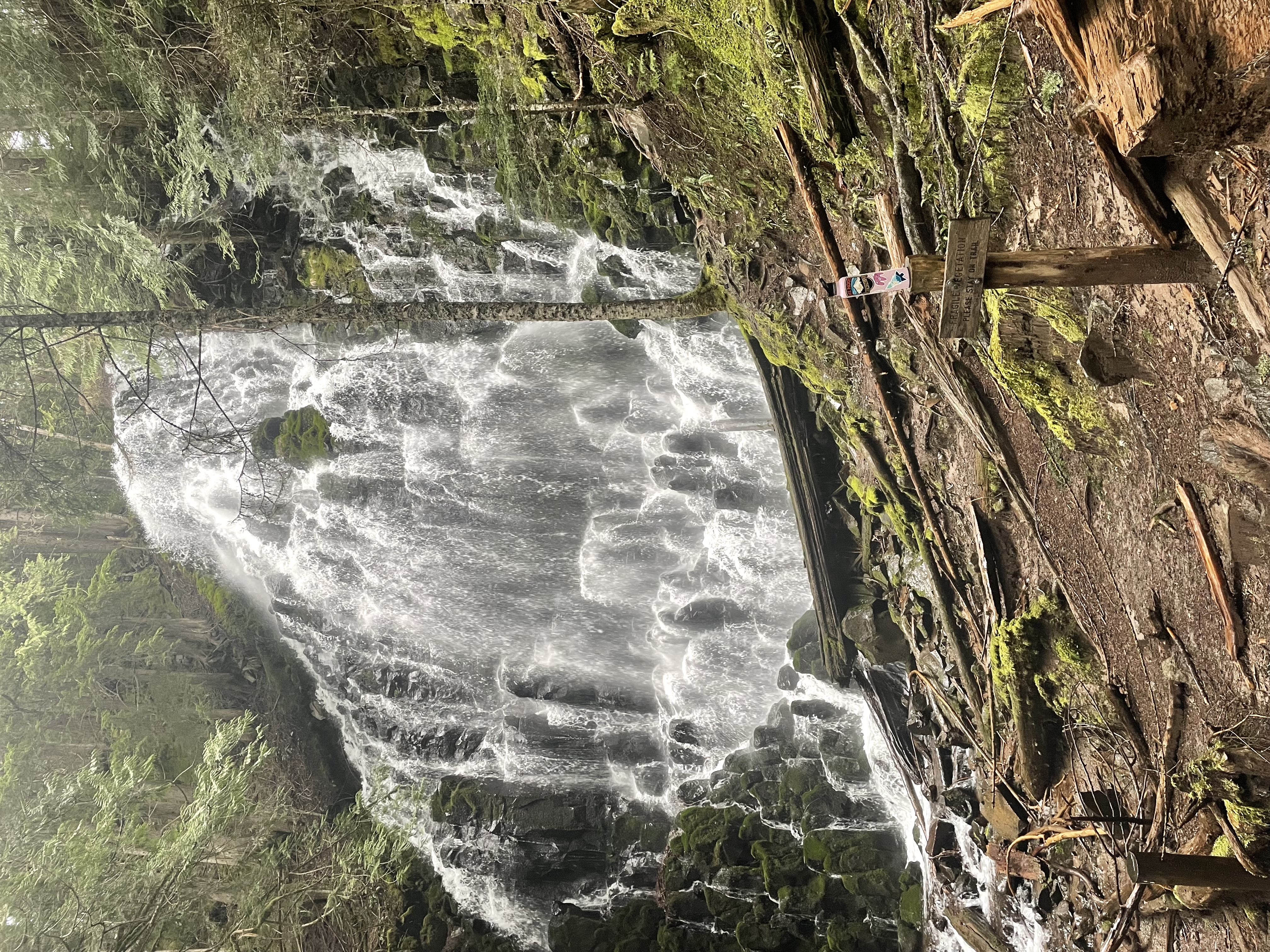 Ramona Falls Loop