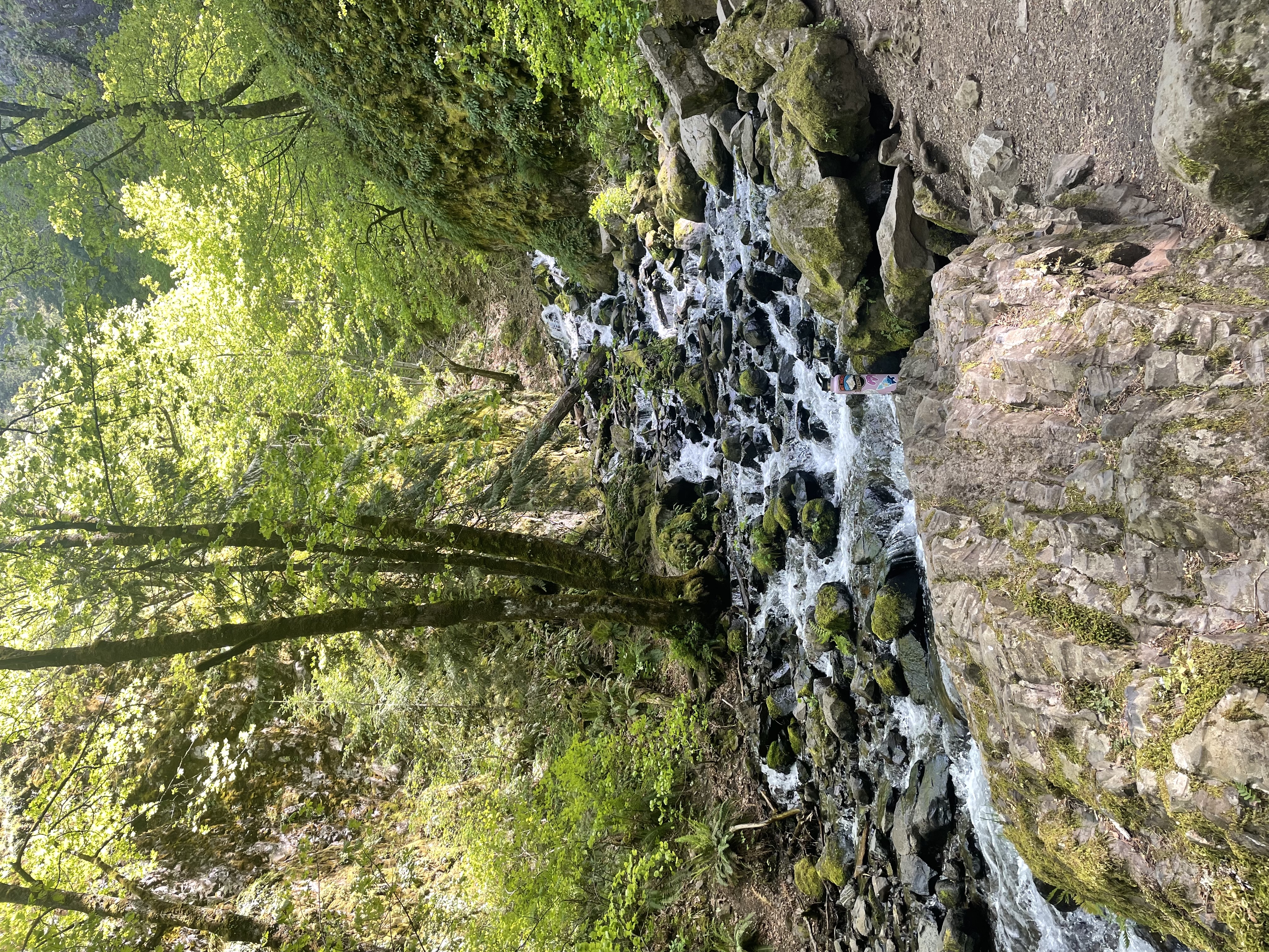 Starvation Creek Falls 