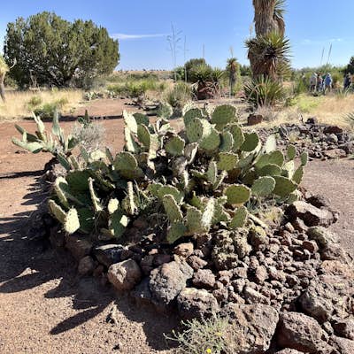 Chihuahuan Desert Nature Center & Botanical Garden