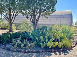 Chihuahuan Desert Nature Center & Botanical Garden