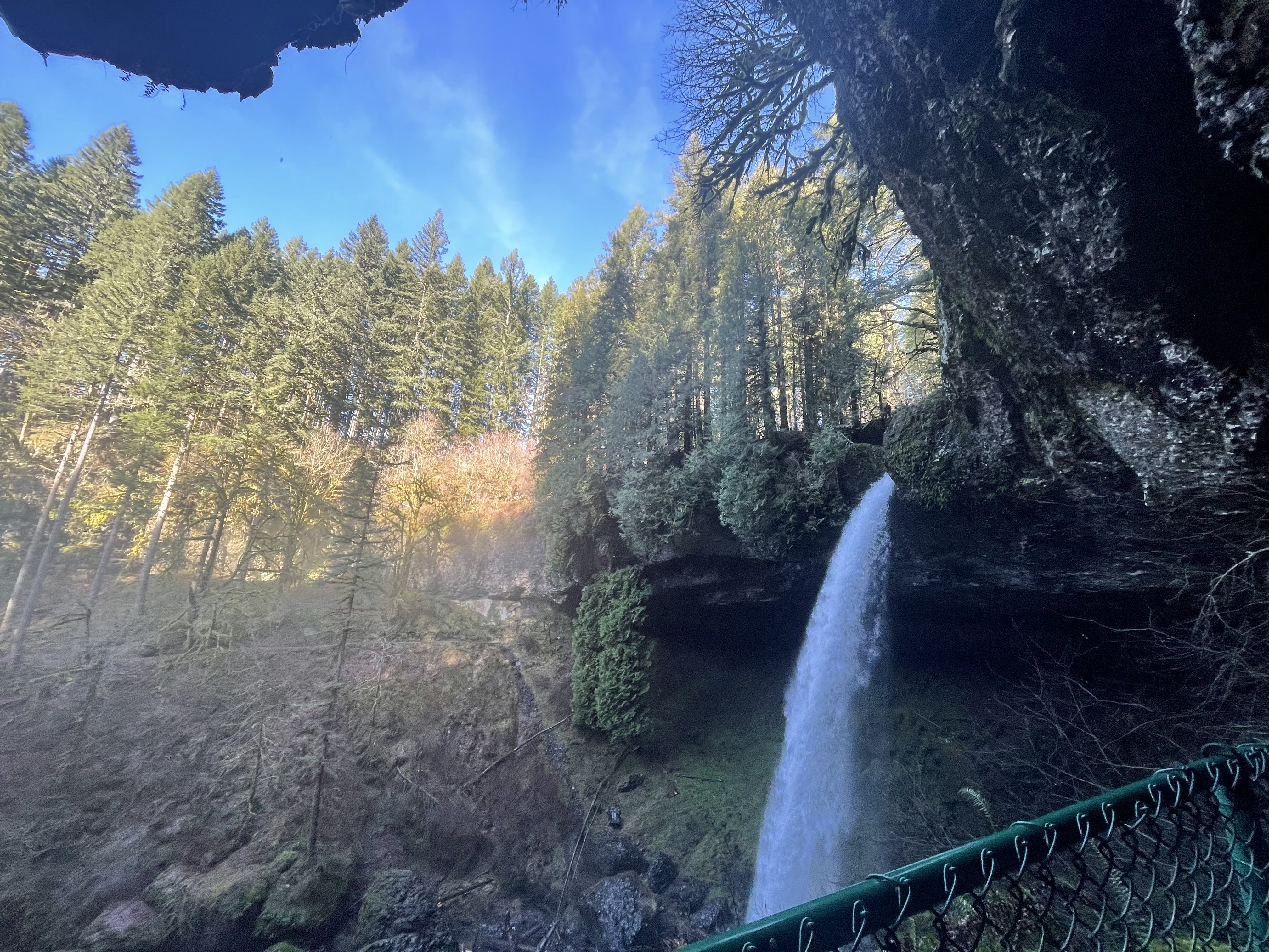 Camp in Silver Falls State Park