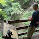 Hike the Devil's Punch Bowl