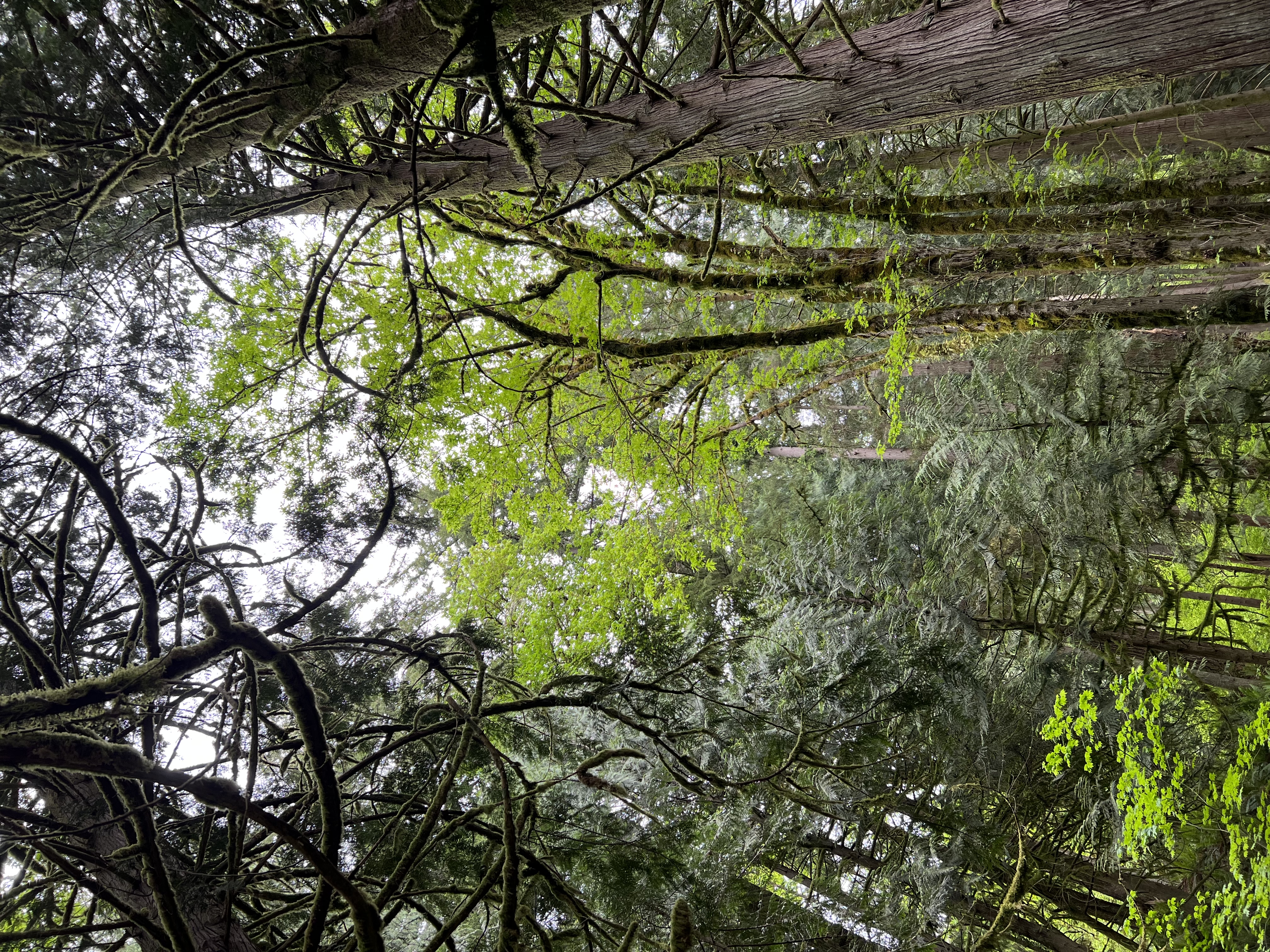 Mt. Si