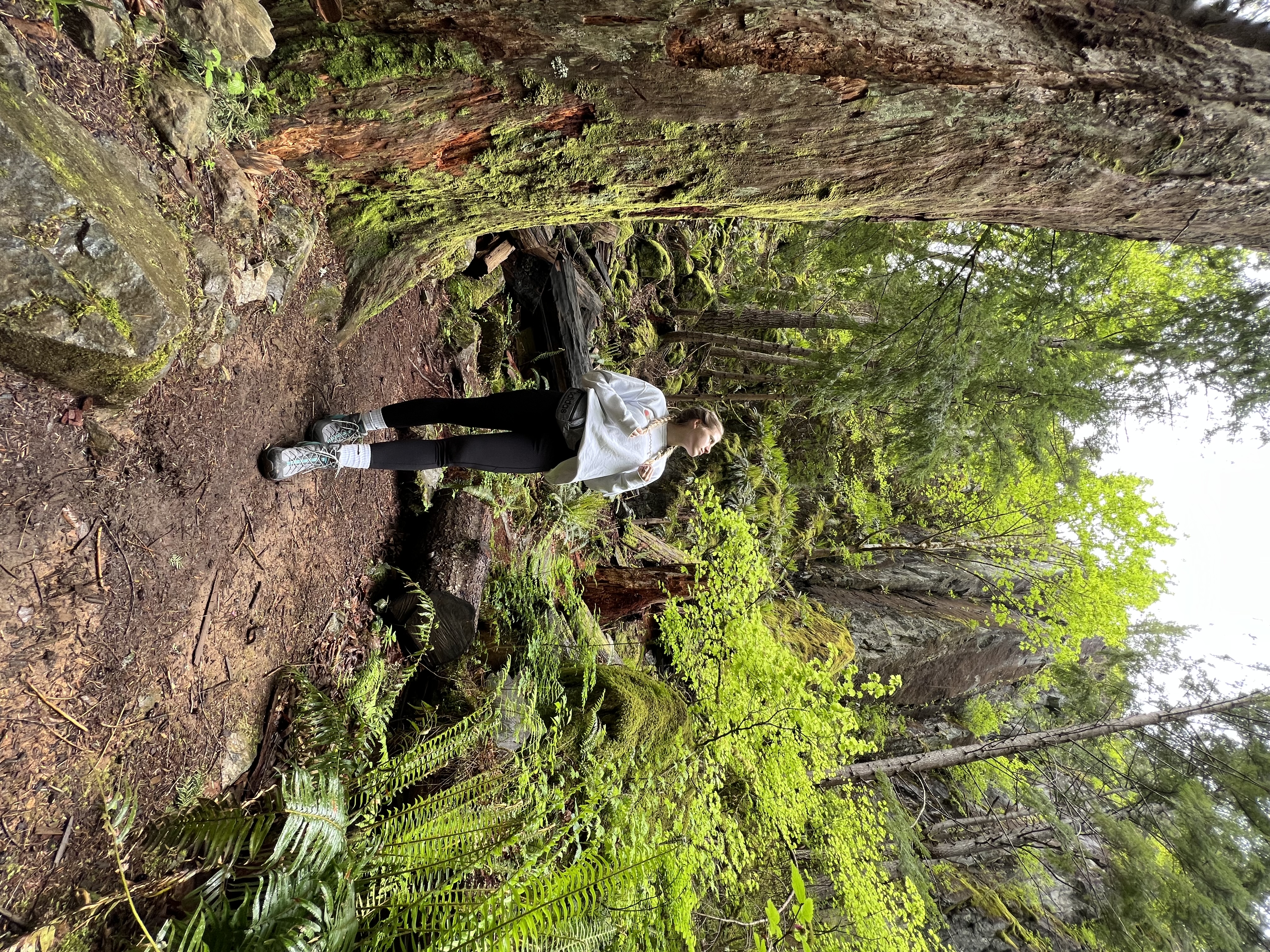 Mt. Si