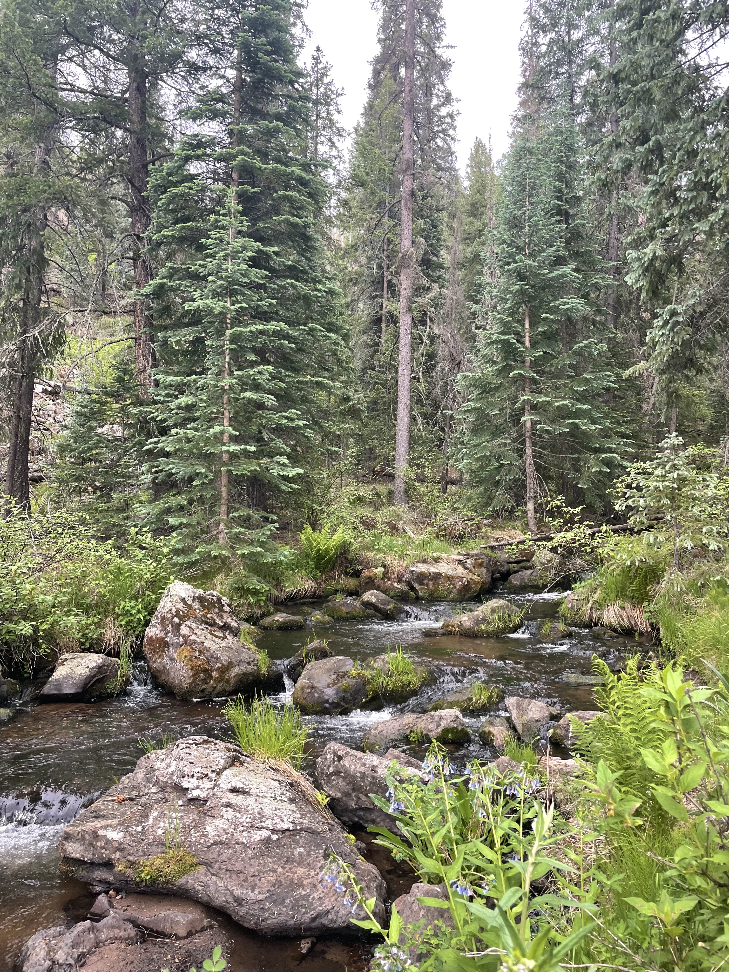 Hike the Government Springs Trail