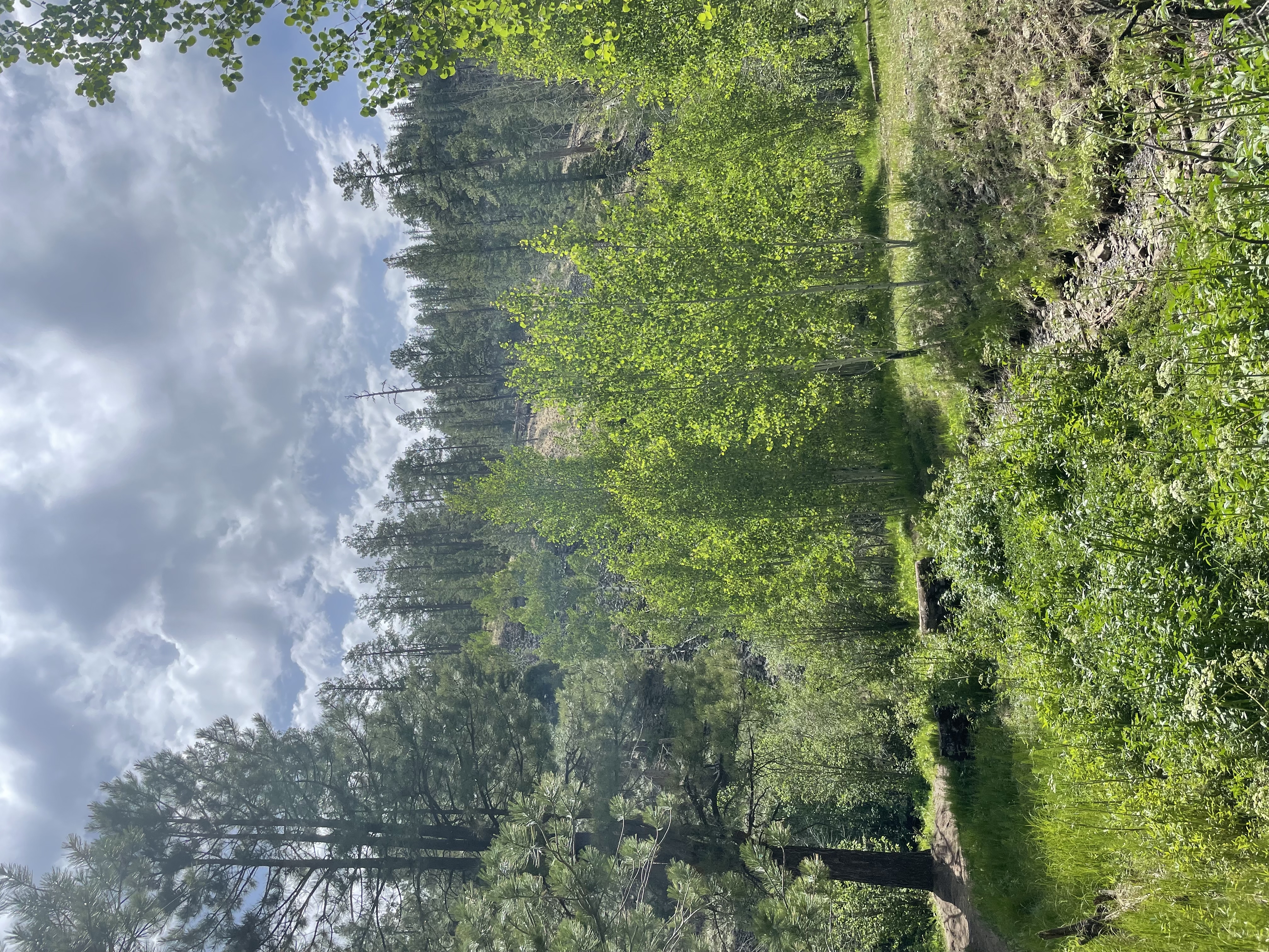 Hike the Government Springs Trail