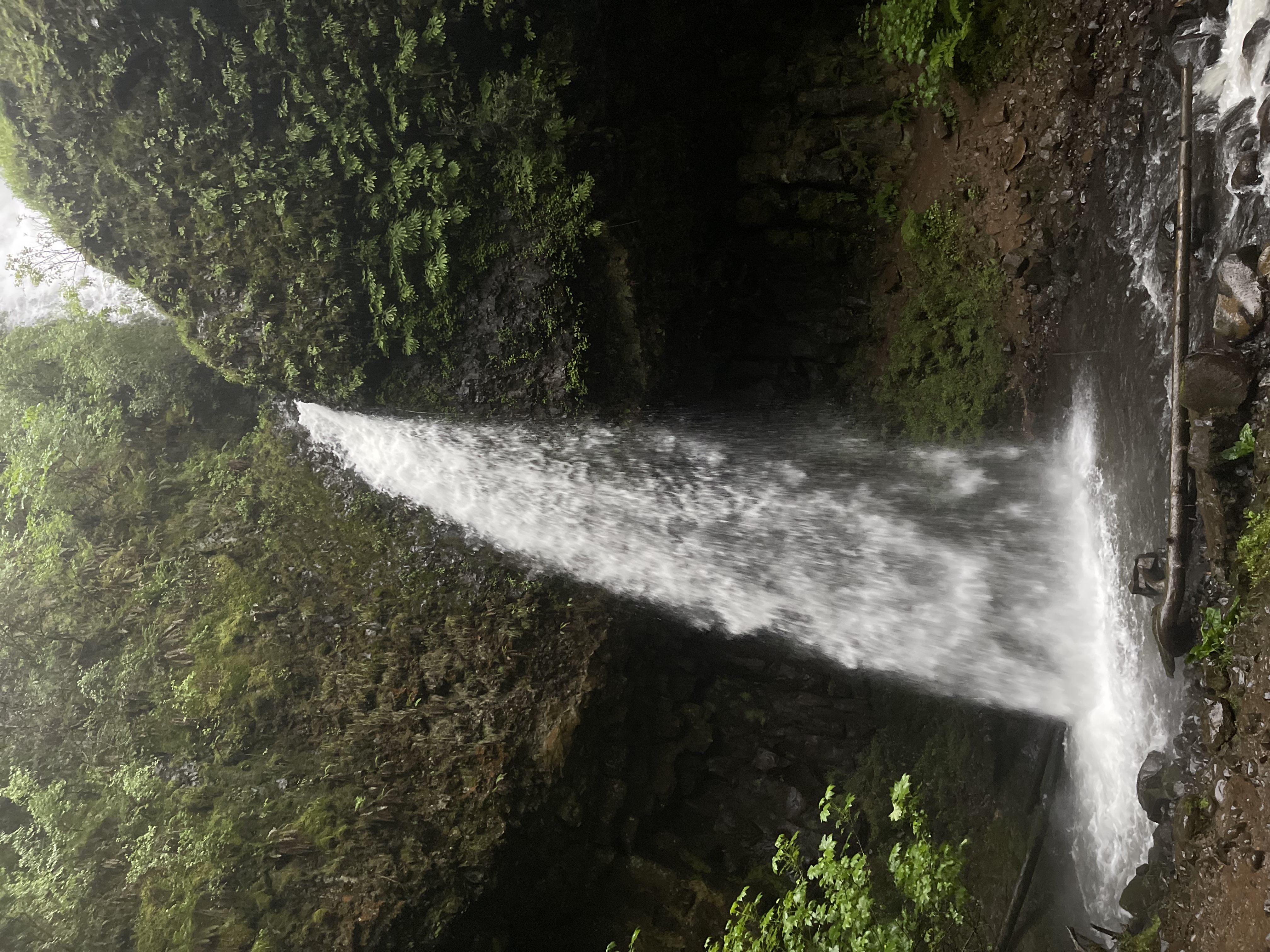 Latourell Falls Loop