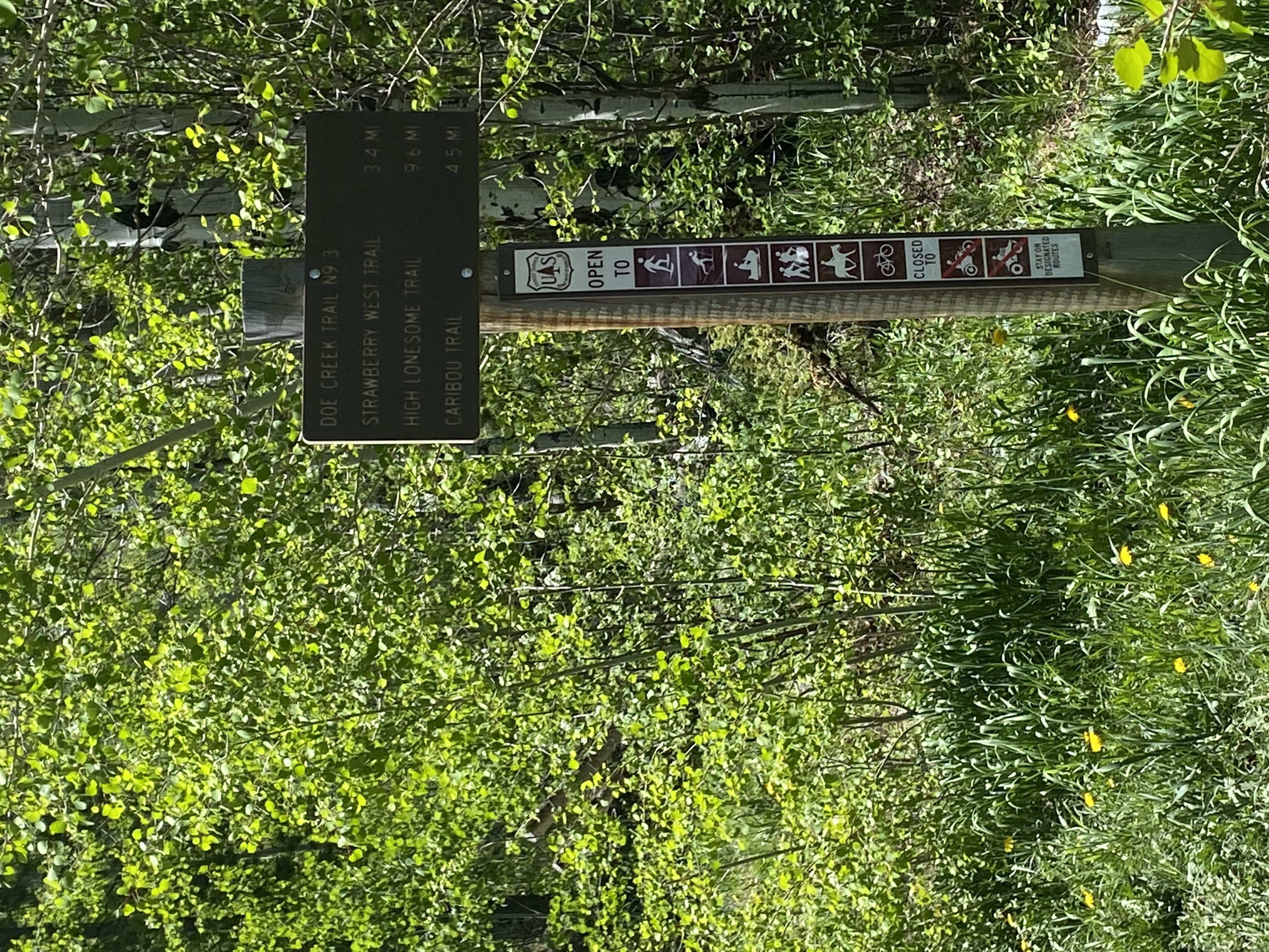 Doe Creek Trail