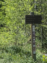 Doe Creek Trail